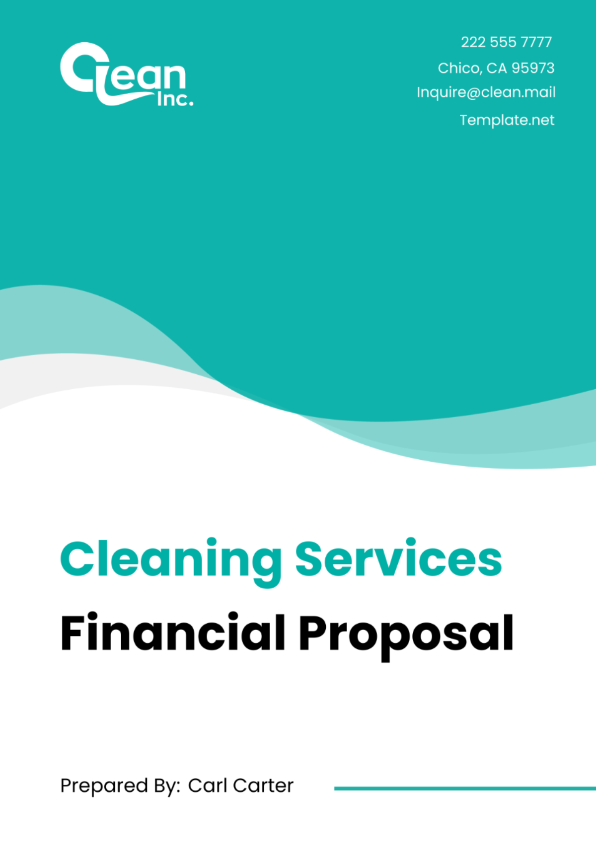 Free Cleaning Services Financial Proposal Template