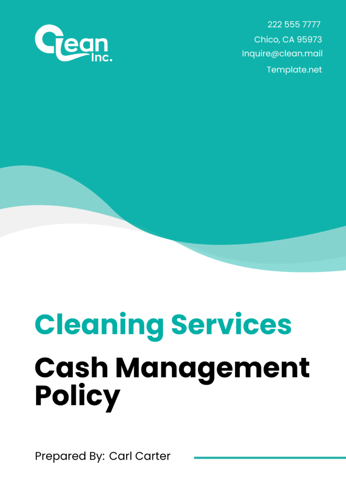 Cleaning Services Cash Management Policy Template