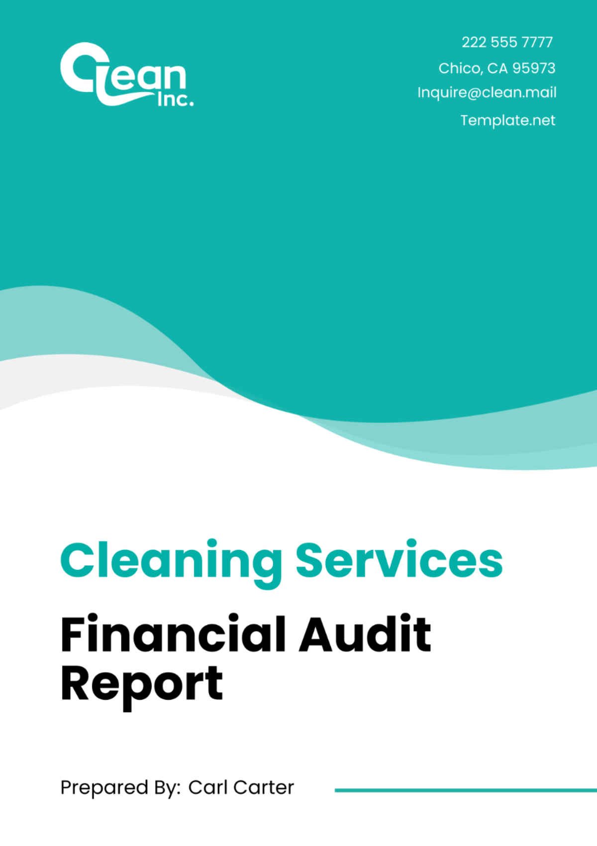 Cleaning Services Financial Audit Report Template