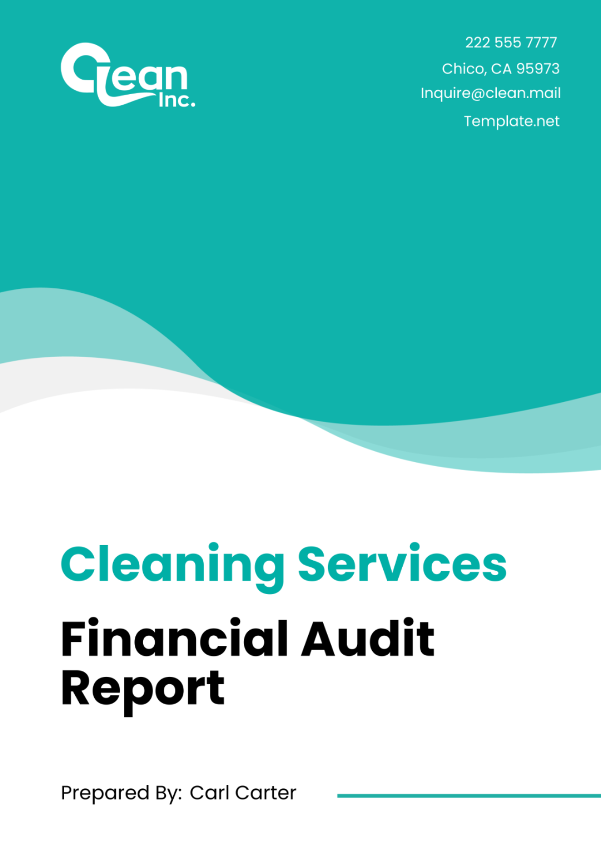 Cleaning Services Financial Audit Report Template - Edit Online & Download