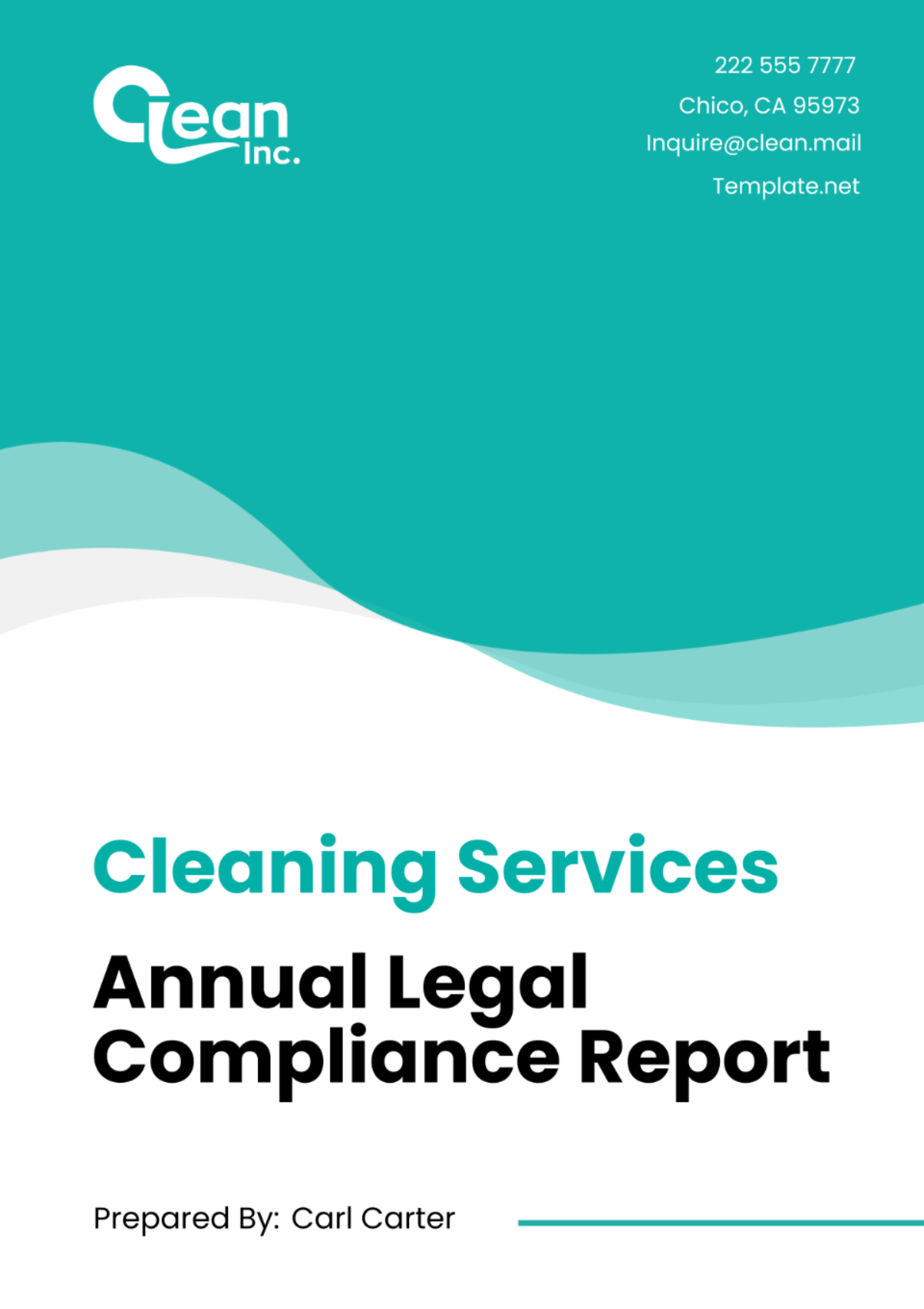 Cleaning Services Annual Legal Compliance Report Template