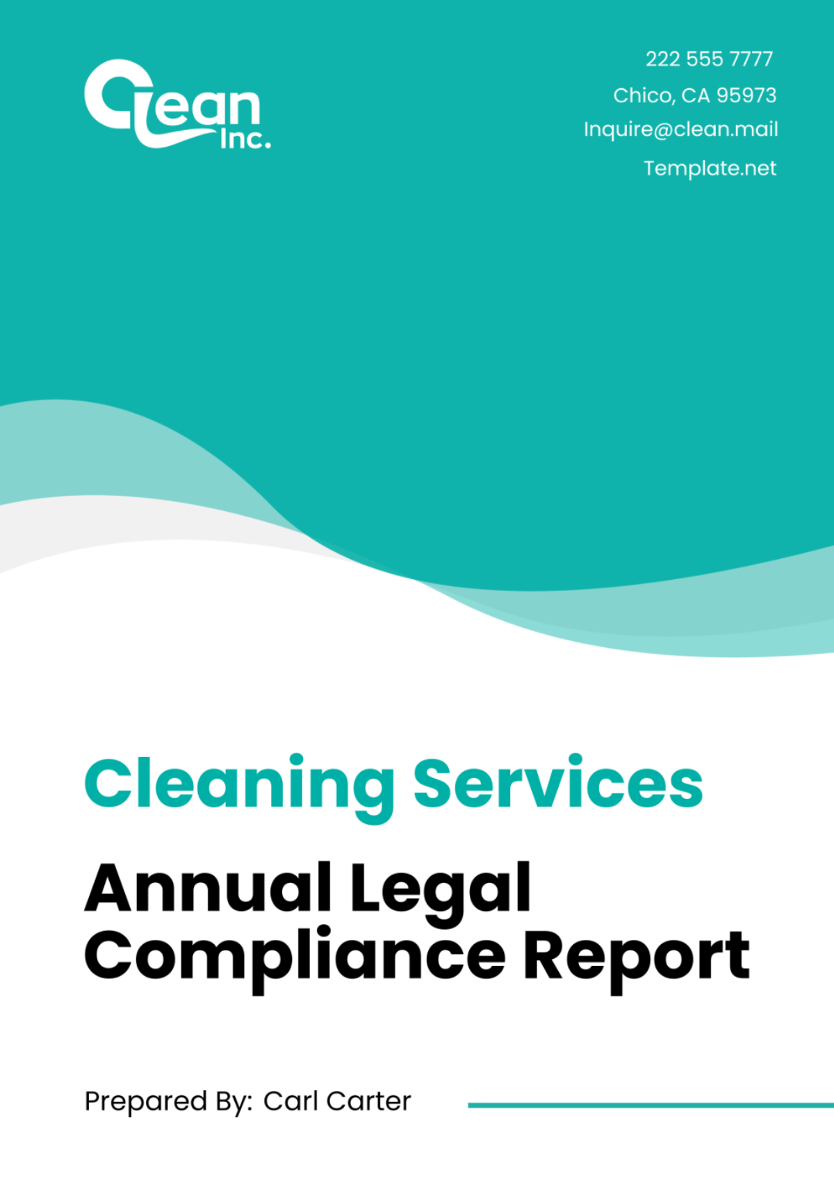 Cleaning Services Annual Legal Compliance Report Template - Edit Online & Download