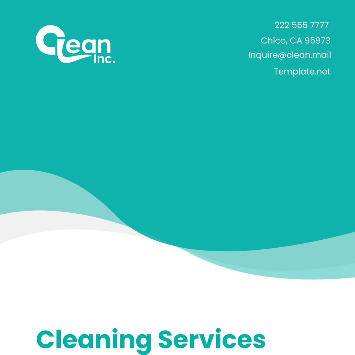 Cleaning Services Financial Literacy for Managers Guide Template