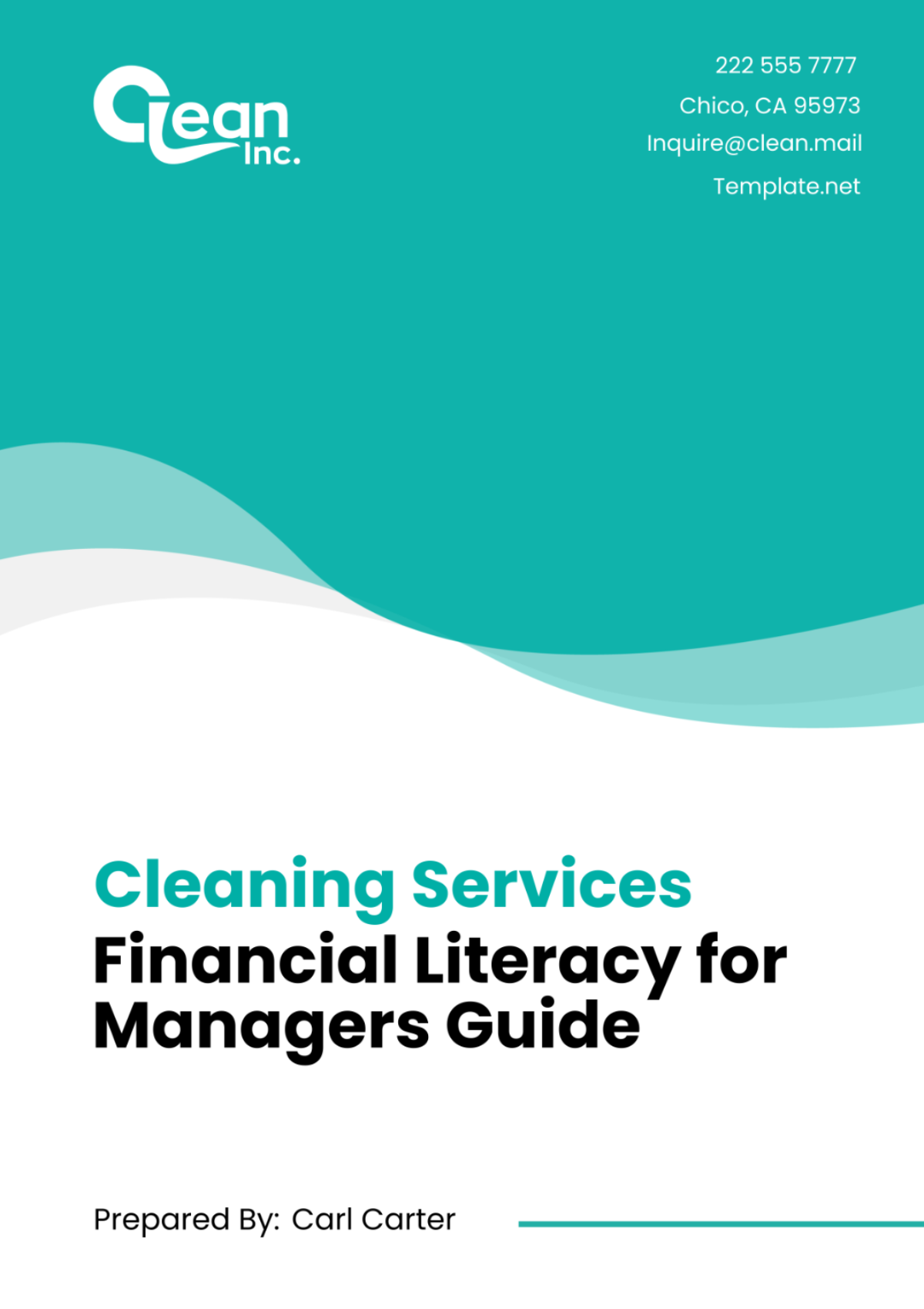 Cleaning Services Financial Literacy for Managers Guide Template - Edit Online & Download