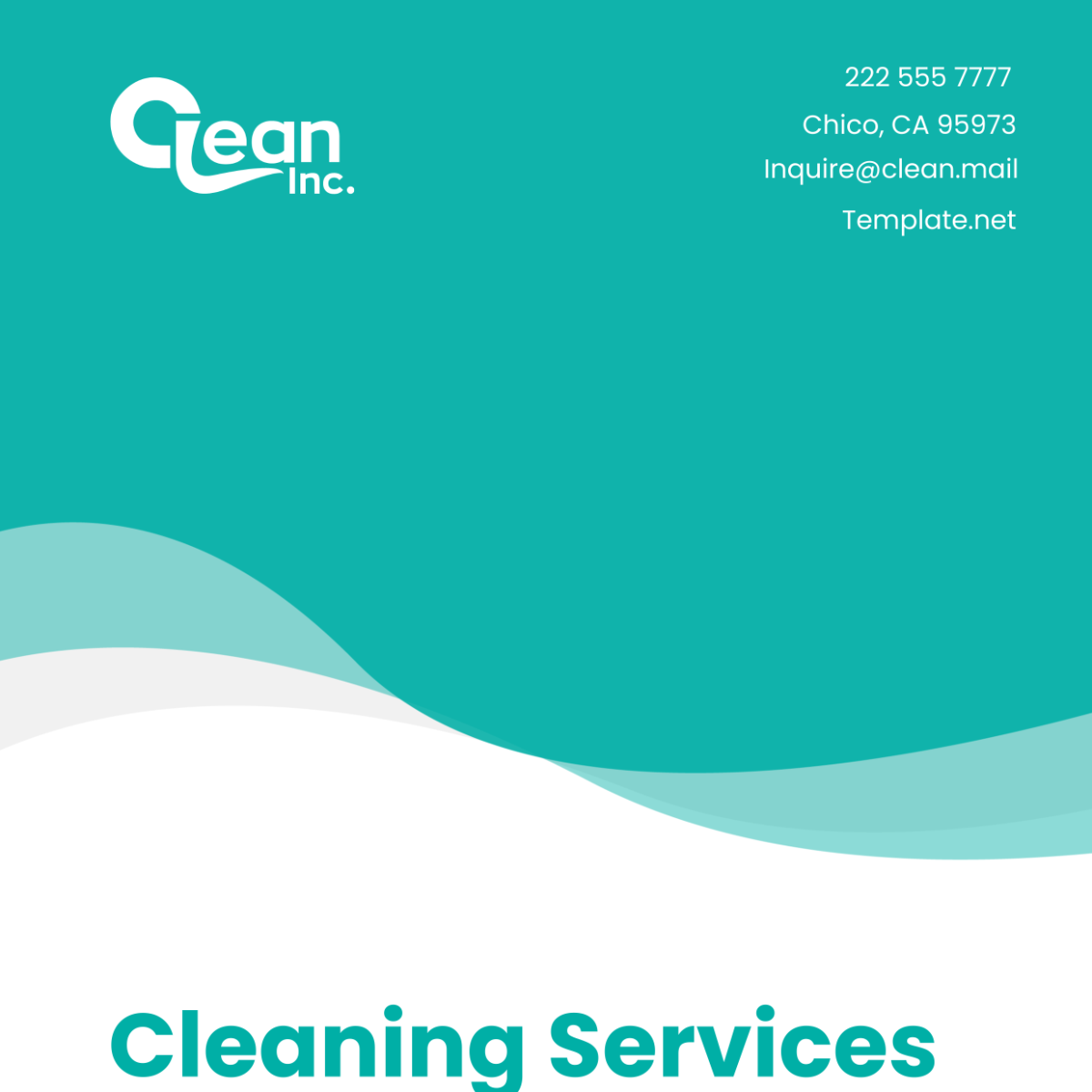 Cleaning Services Leadership Transition Plan Template