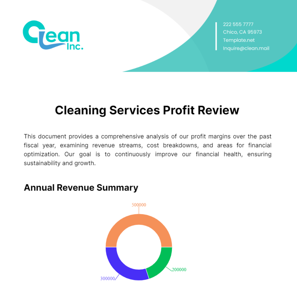 Cleaning Services Profit Review Template