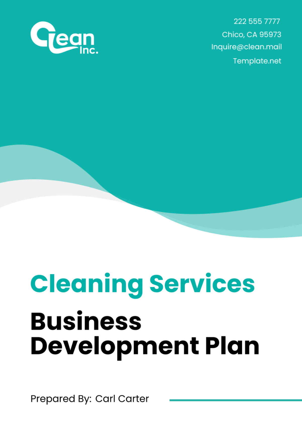 Free Cleaning Services Business Development Plan Template