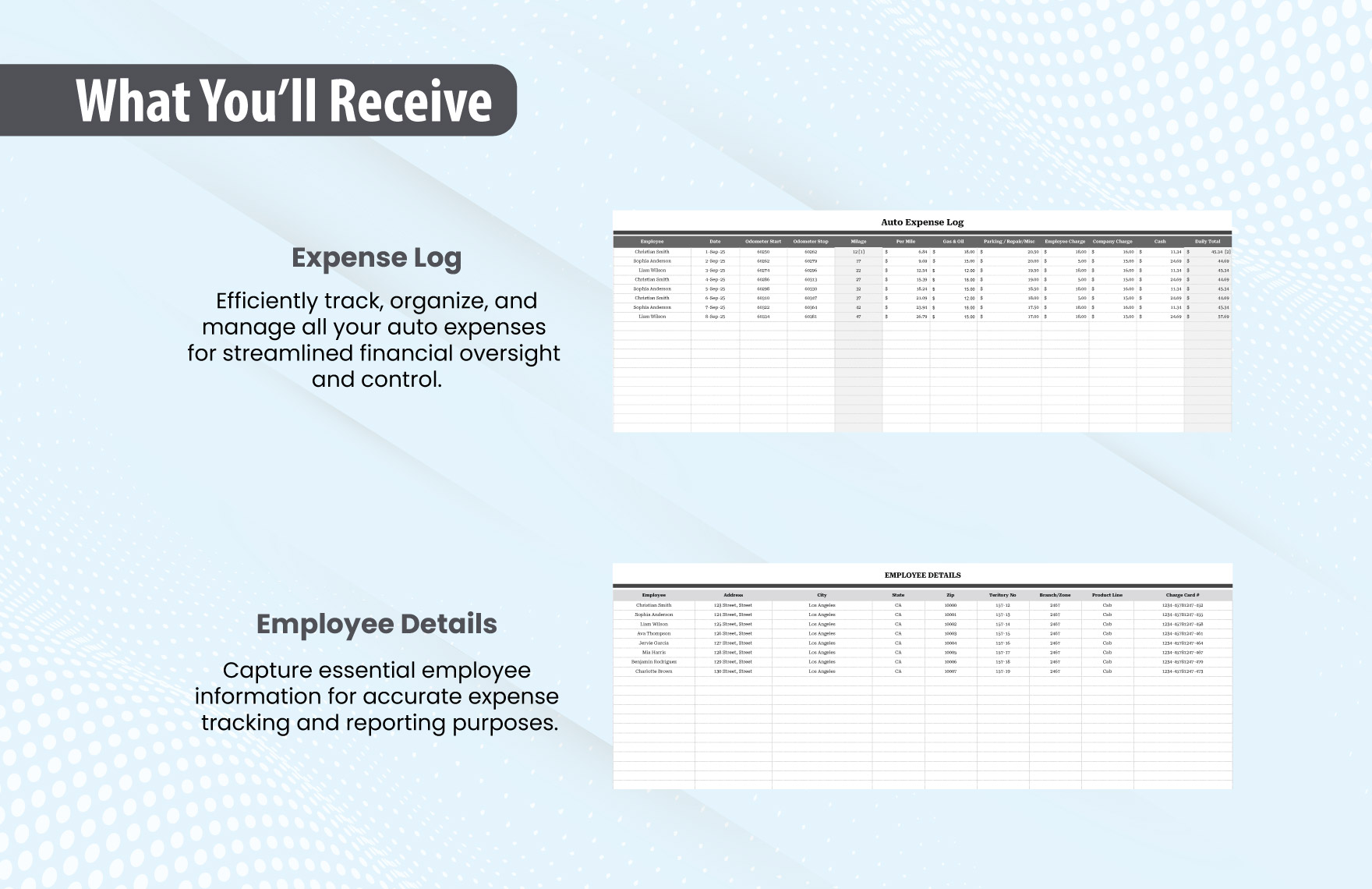 Auto Expense Report Template