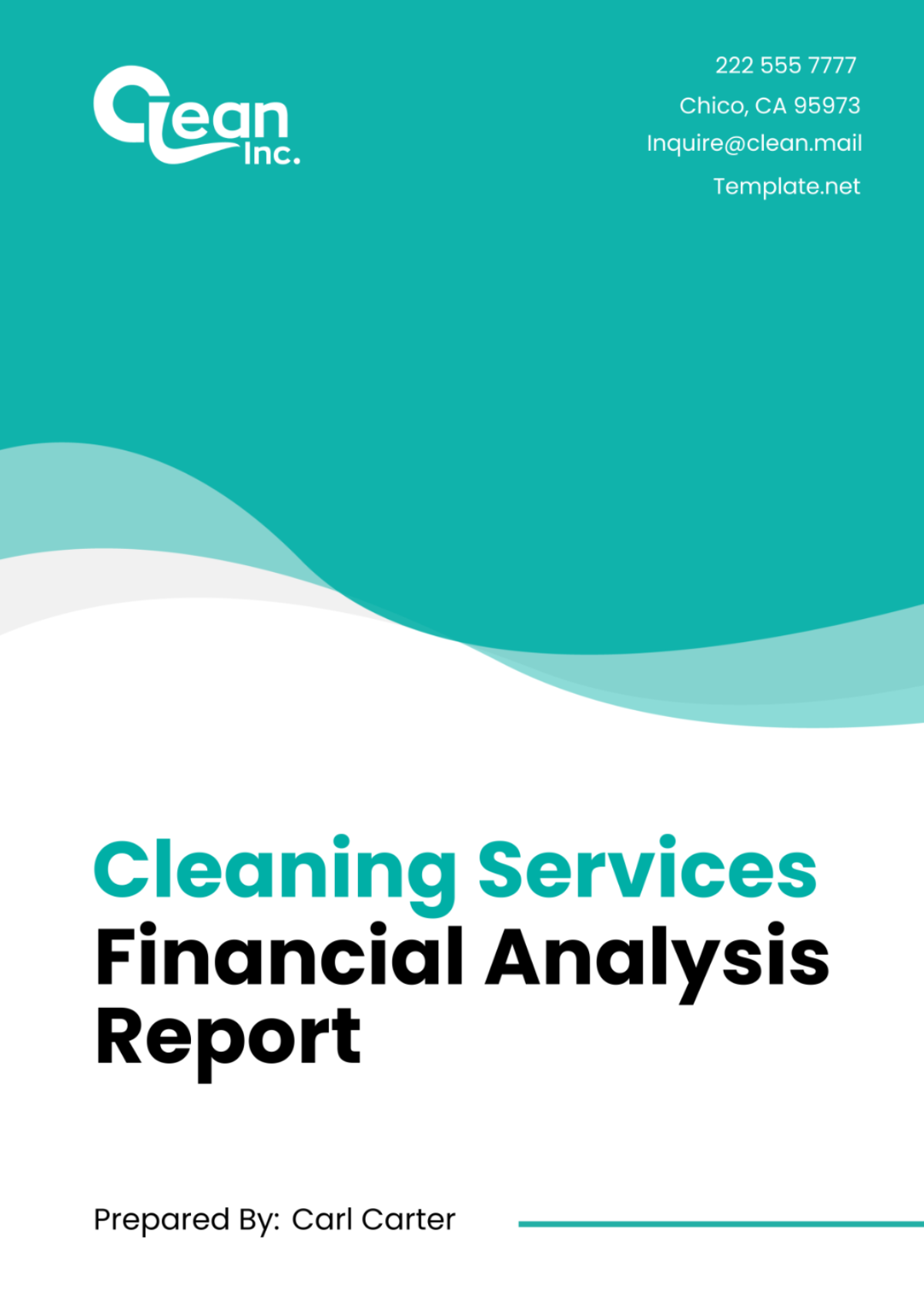 Cleaning Services Financial Analysis Report Template - Edit Online & Download