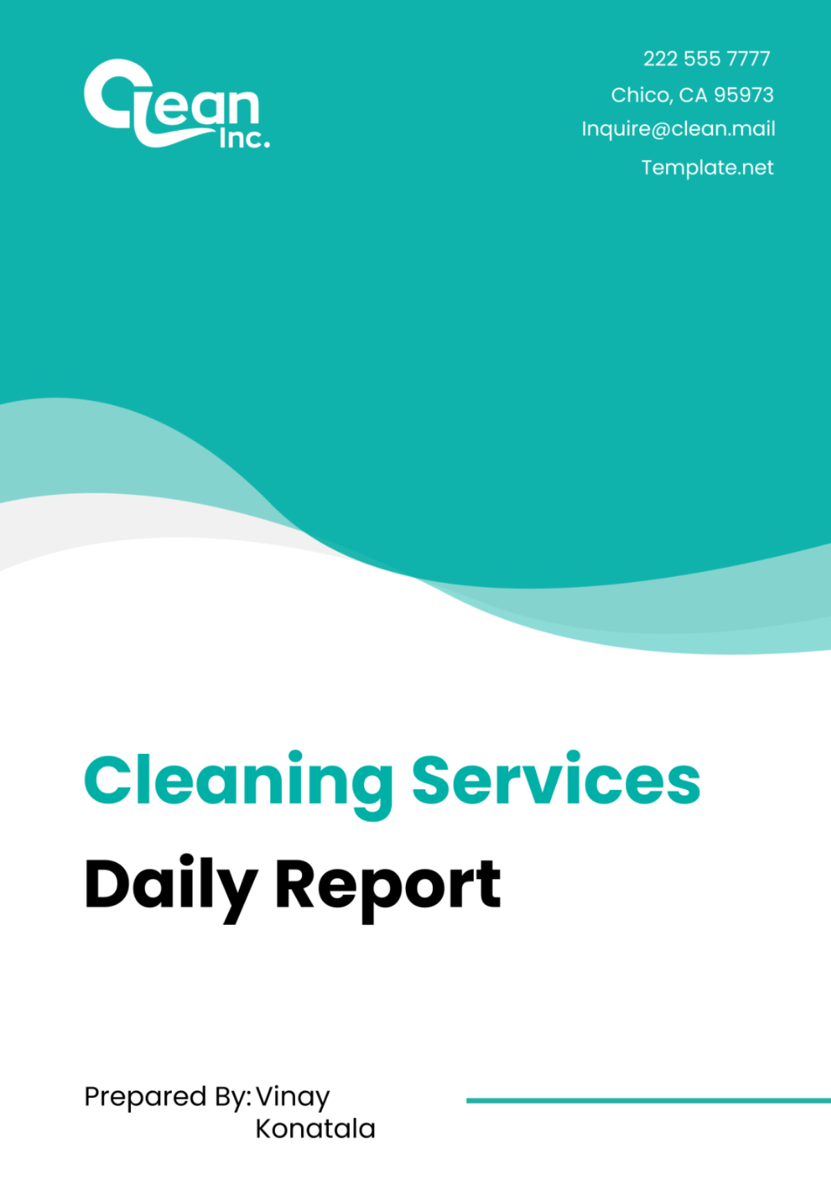 Cleaning Services Daily Report Template