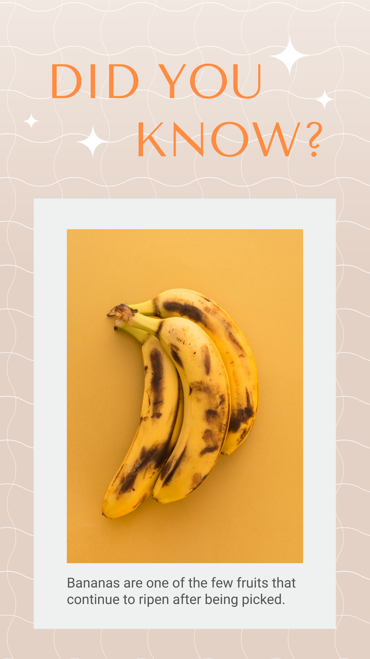 Did You Know About Bananas Instagram Post 