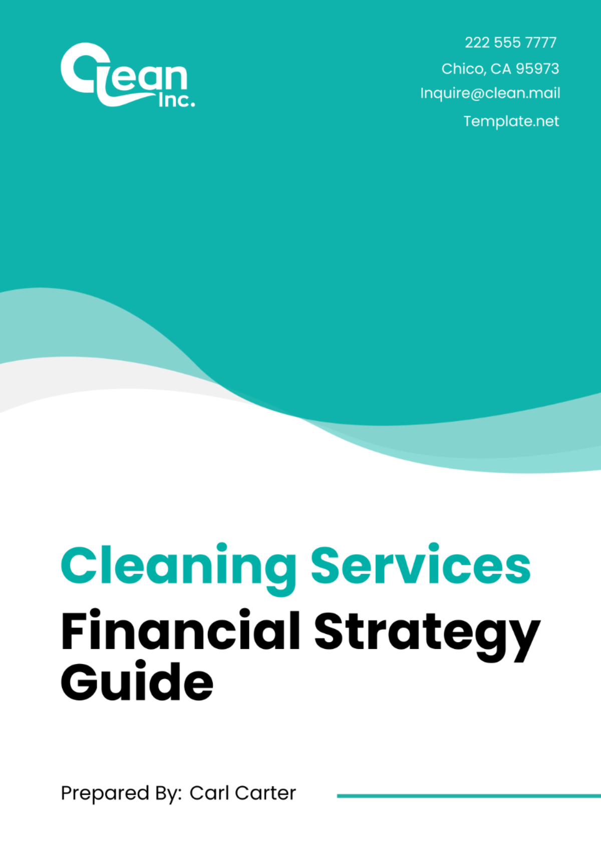 Cleaning Services Financial Strategy Guide Template