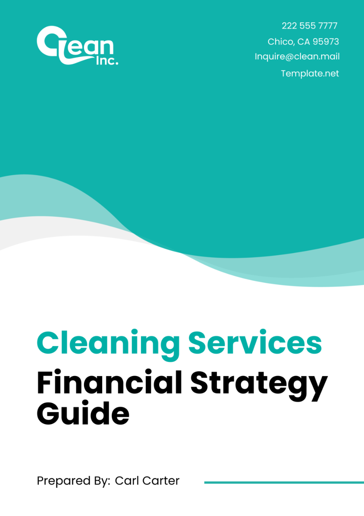 Cleaning Services Financial Strategy Guide Template - Edit Online & Download