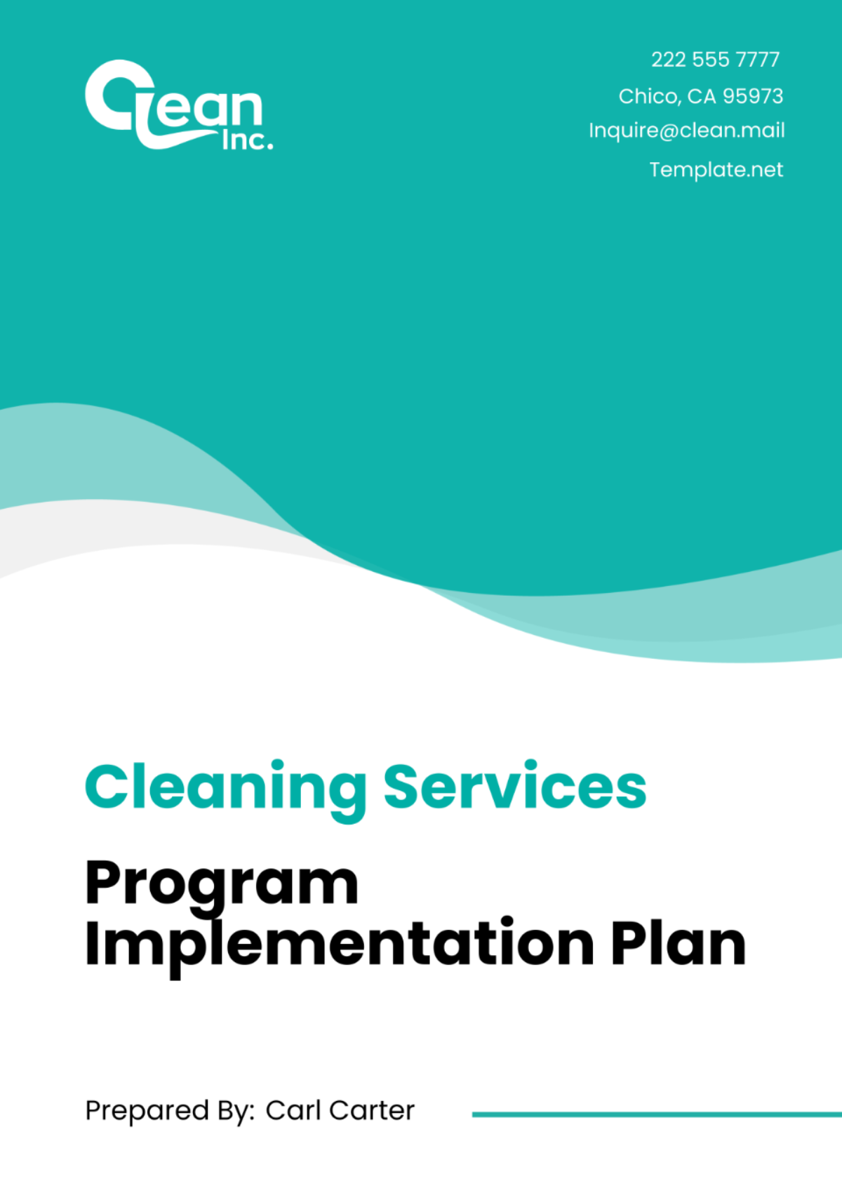 Free Cleaning Services Program Implementation Plan Template