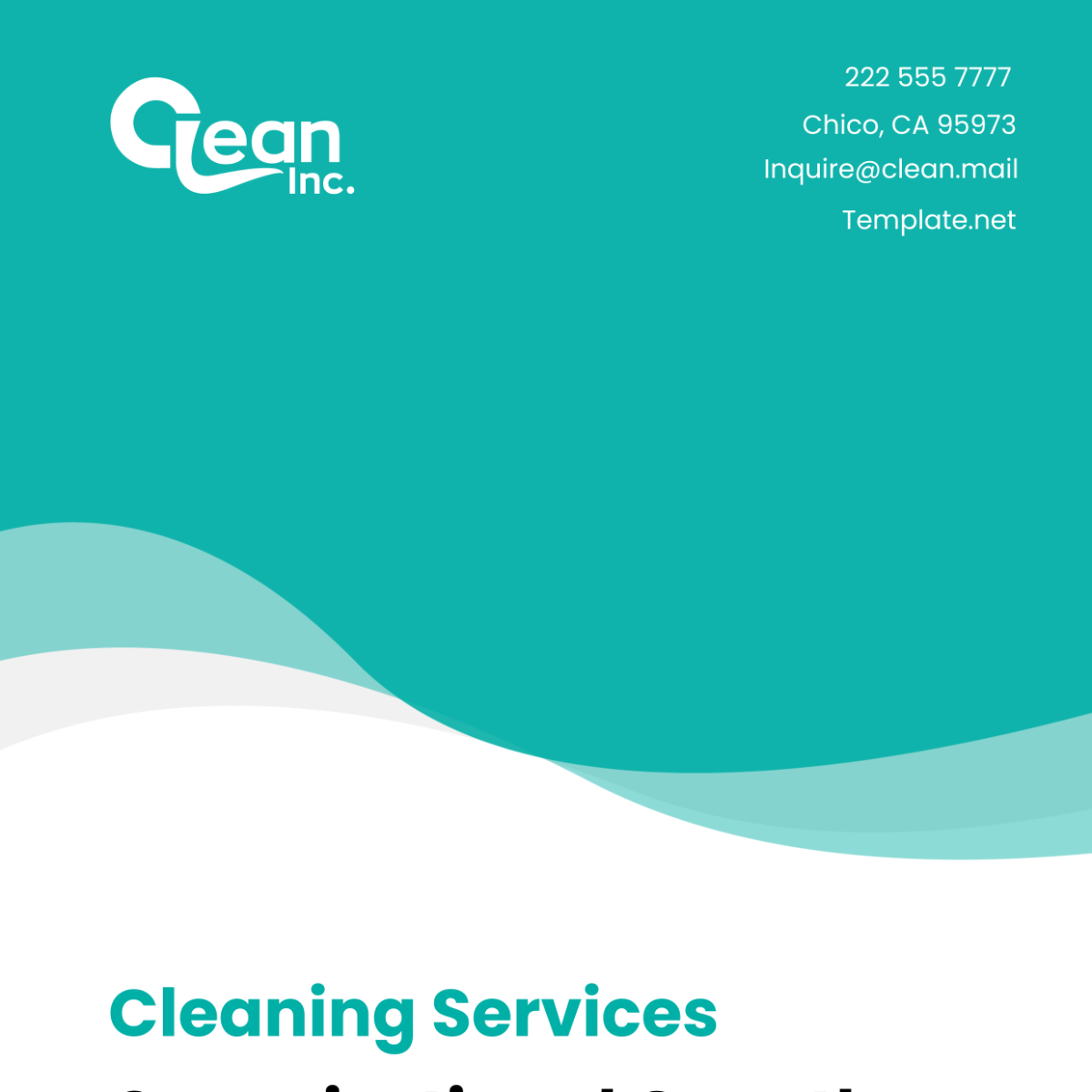Cleaning Services Organizational Growth Strategy Plan Template