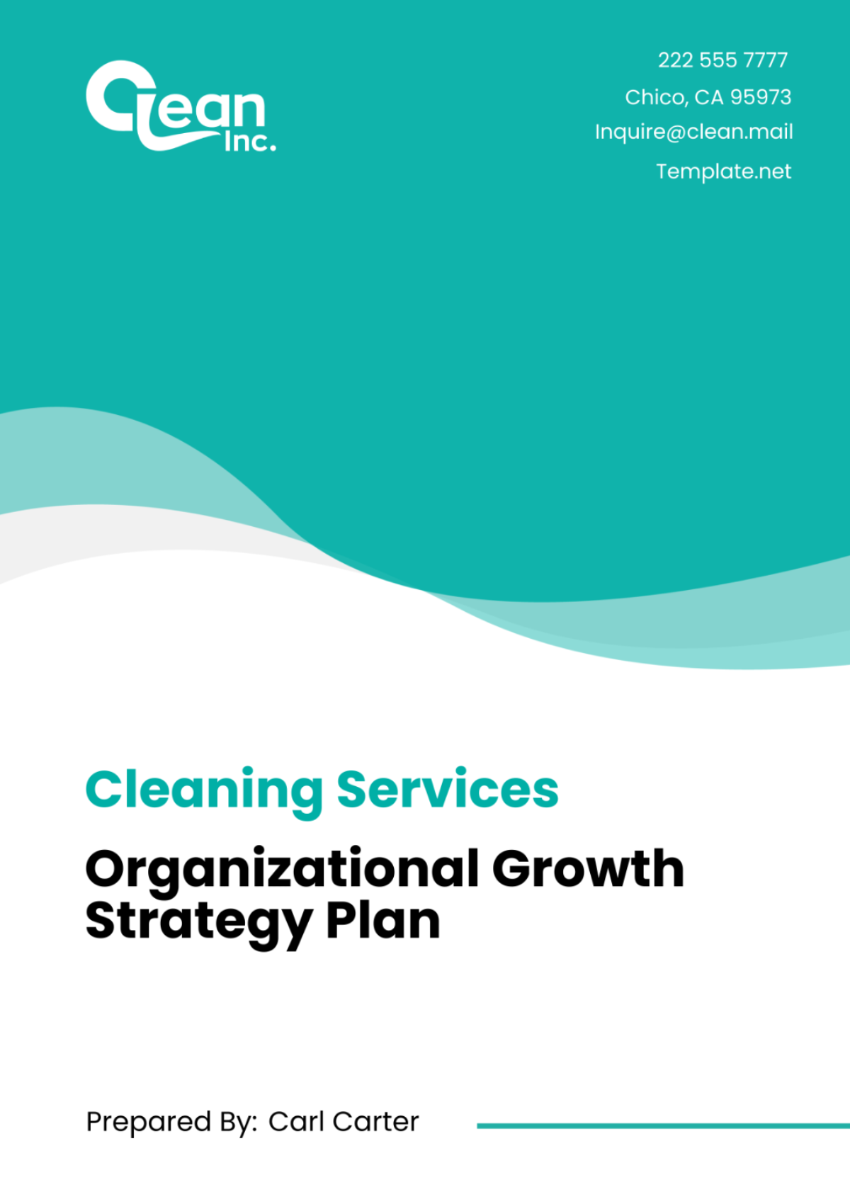 Free Cleaning Services Organizational Growth Strategy Plan Template