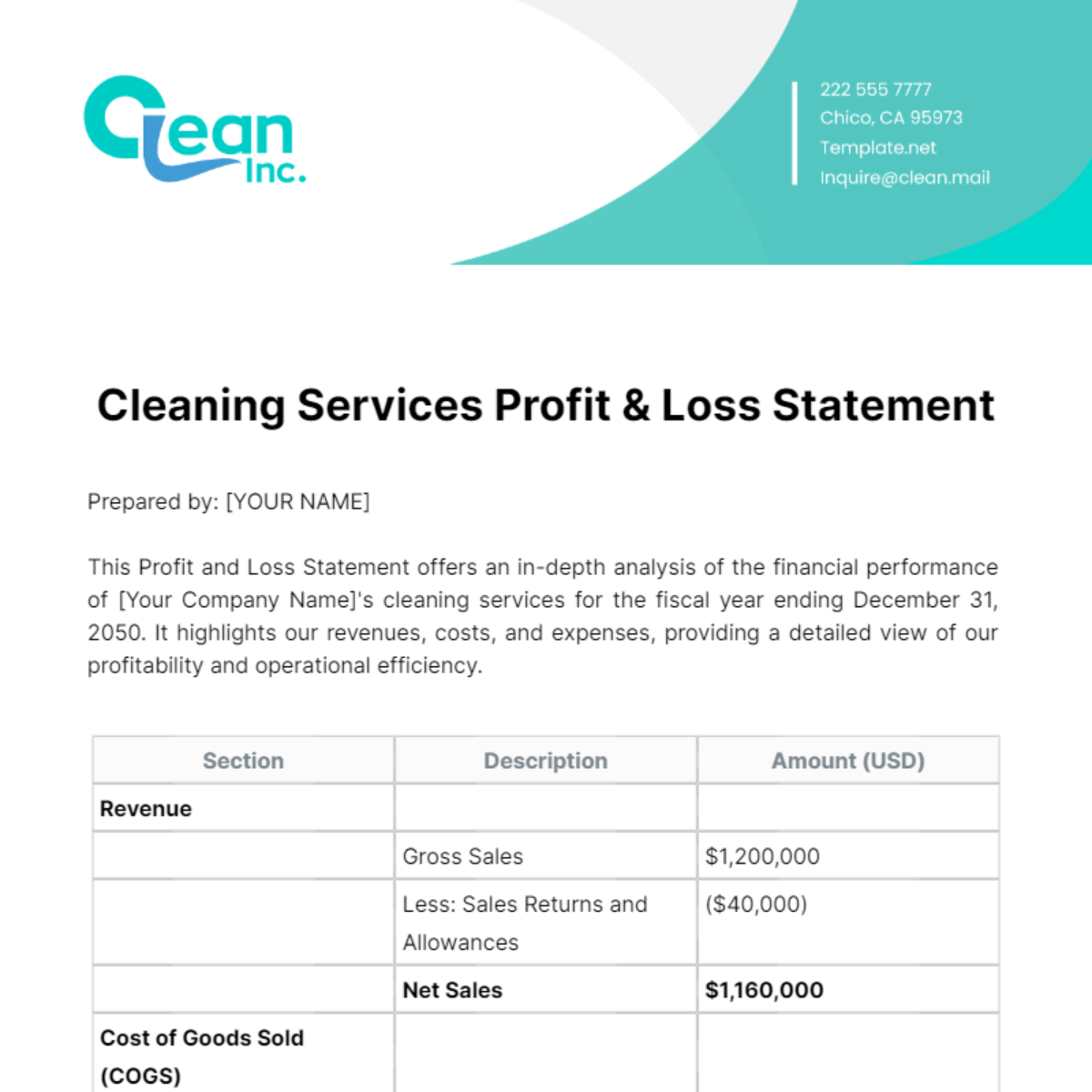 Cleaning Services Profit & Loss Statement Template