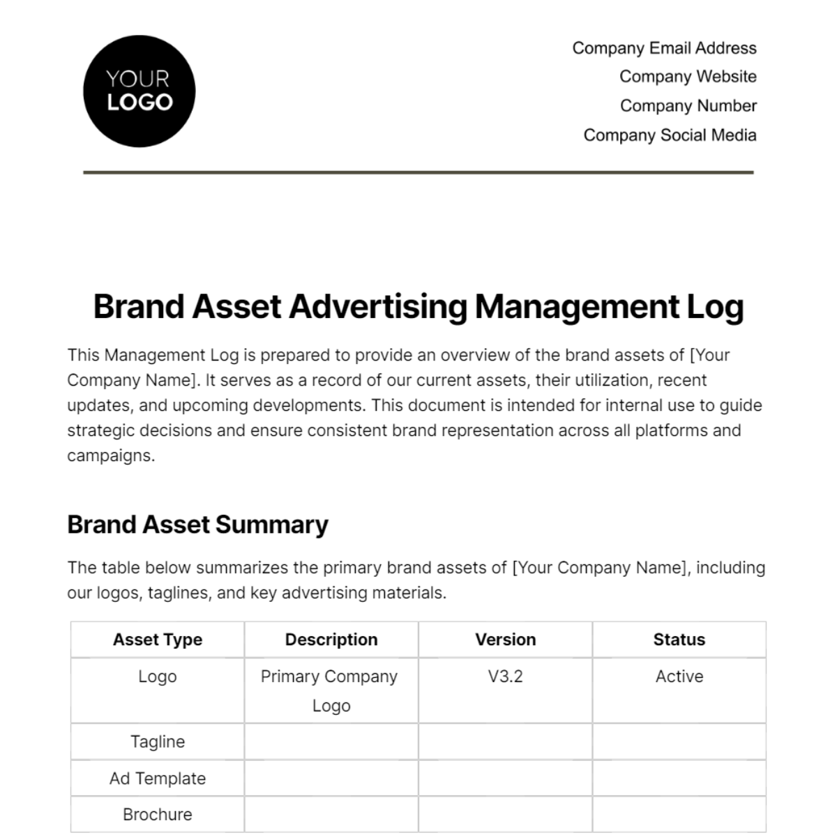 Brand Asset Advertising Management Log Template