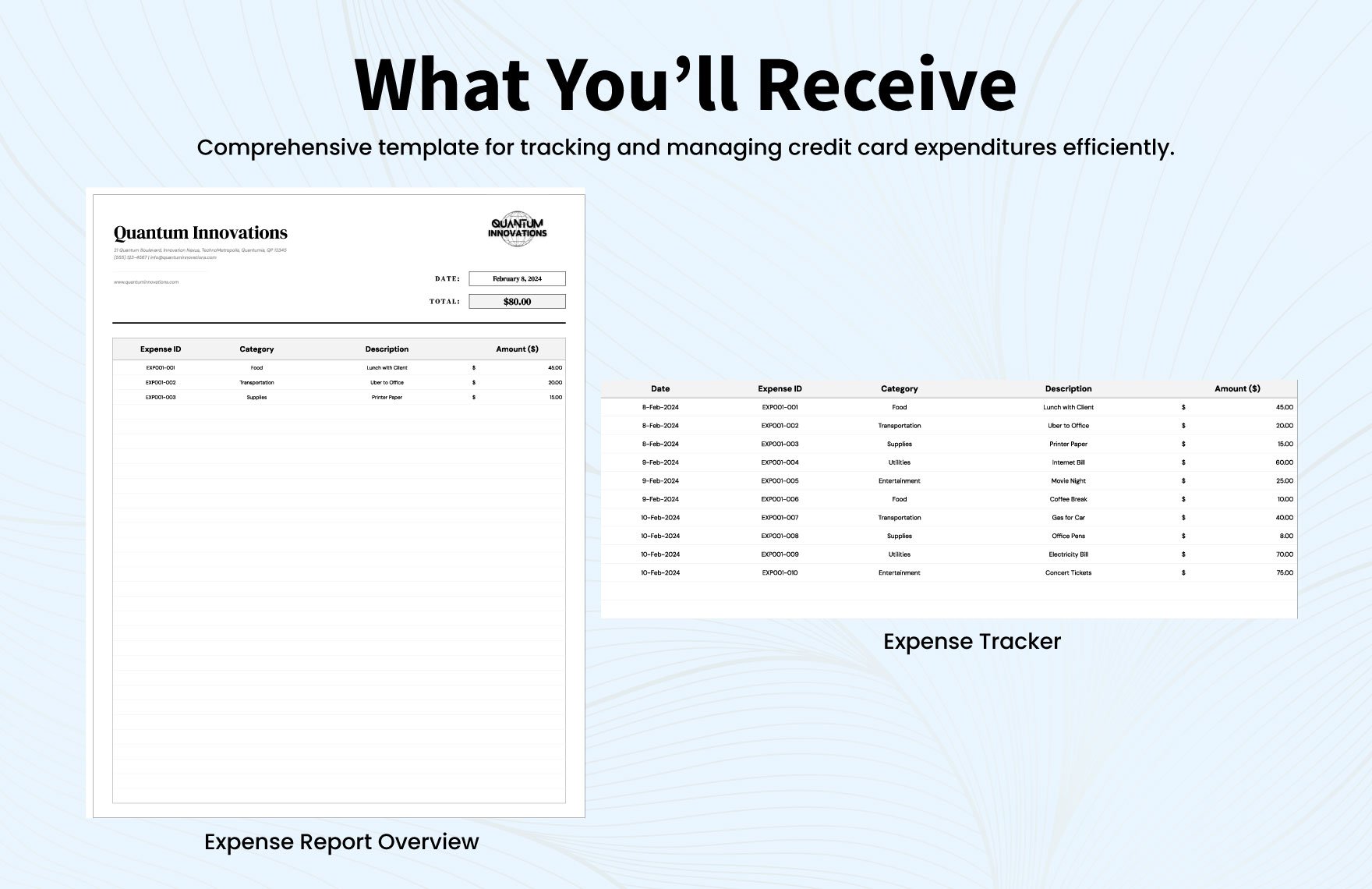 Credit Card Expense Report Template