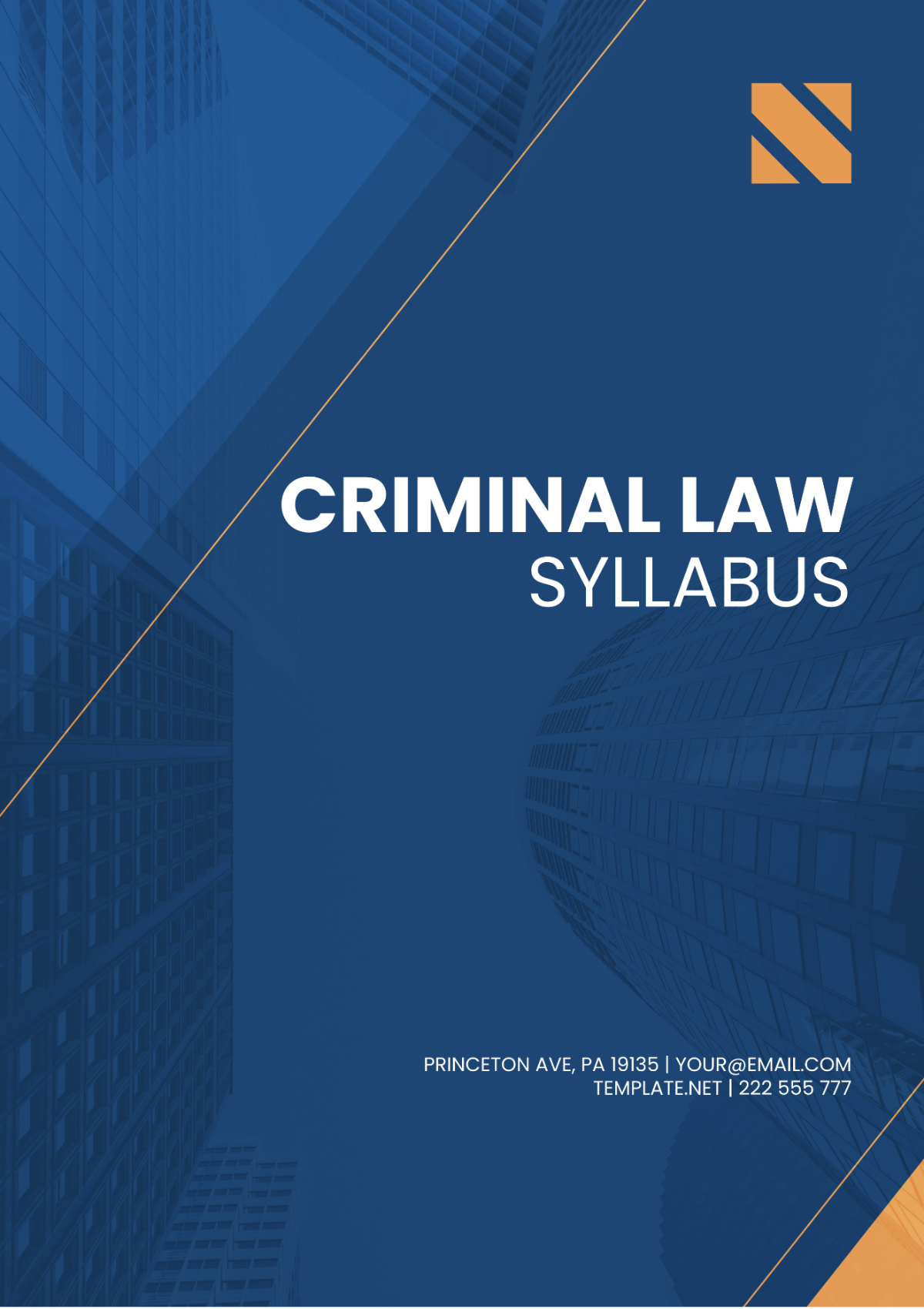Criminal Law Syllabus Template