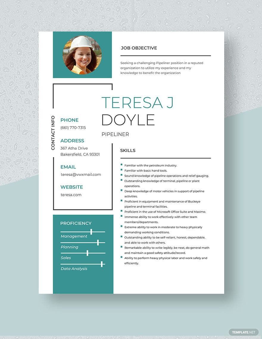 Pipeliner Resume in Word, Apple Pages