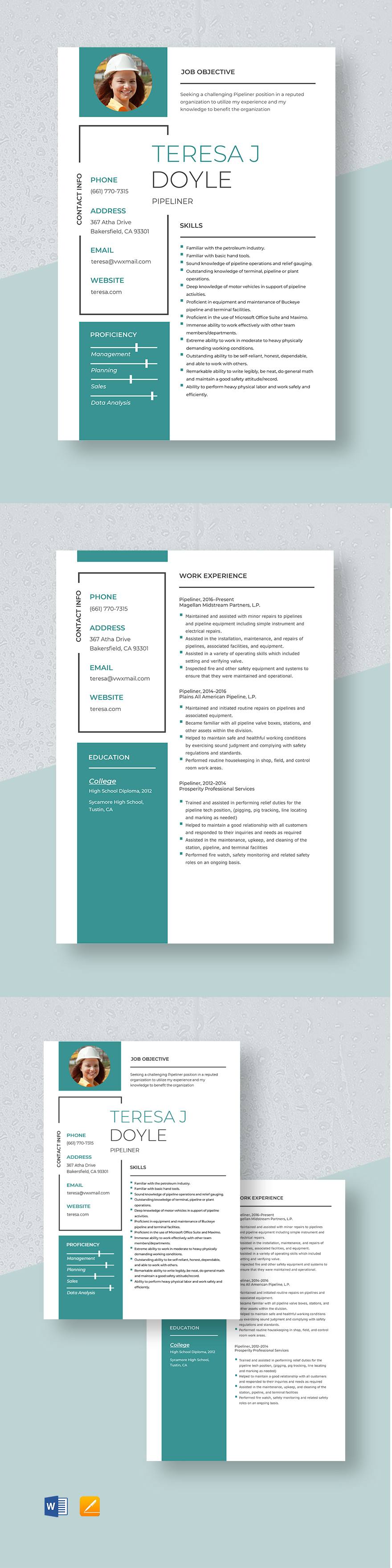 Pipeliner Resume Template Word Apple Pages Template net Pipeliner Resume Template Word Apple Pages Template net