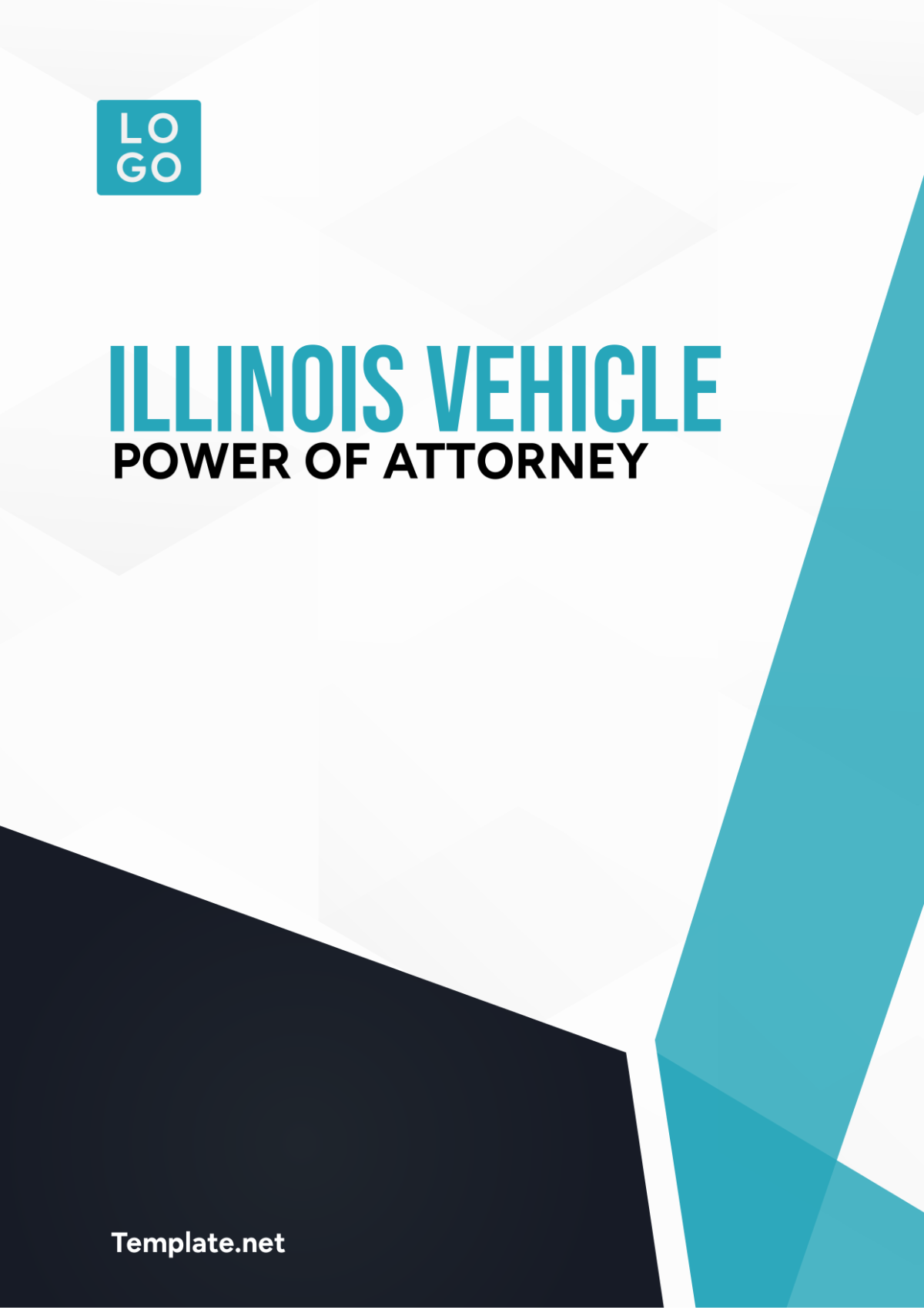 Illinois Vehicle Power of Attorney Template