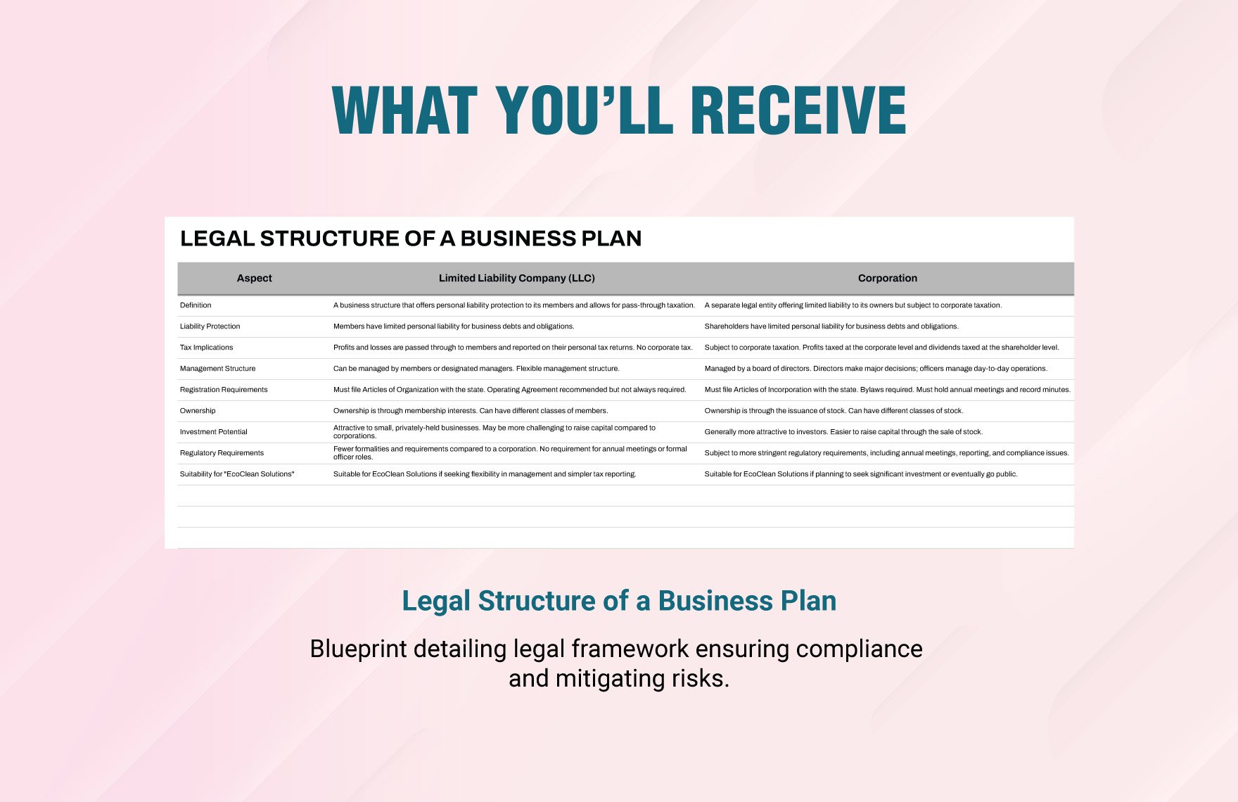 Legal Structure of a Business Plan Template
