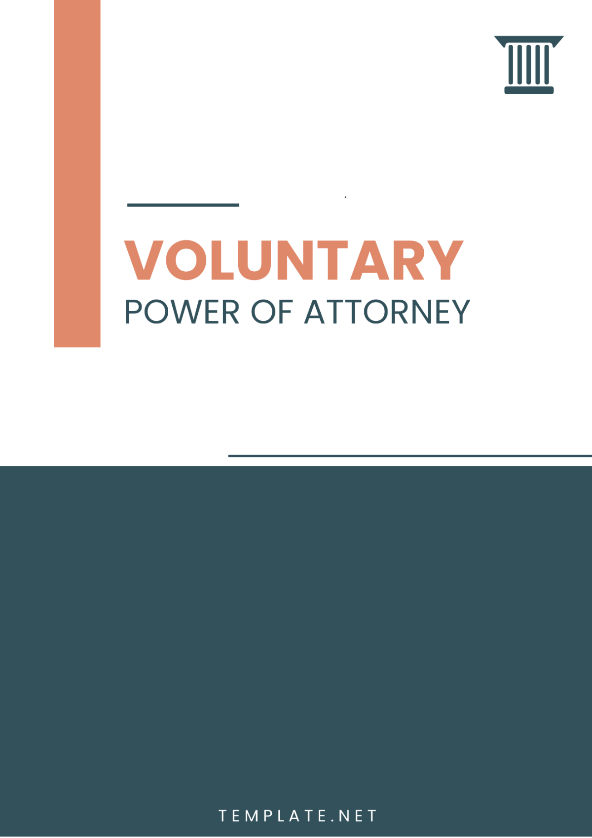 Voluntary Power of Attorney Template