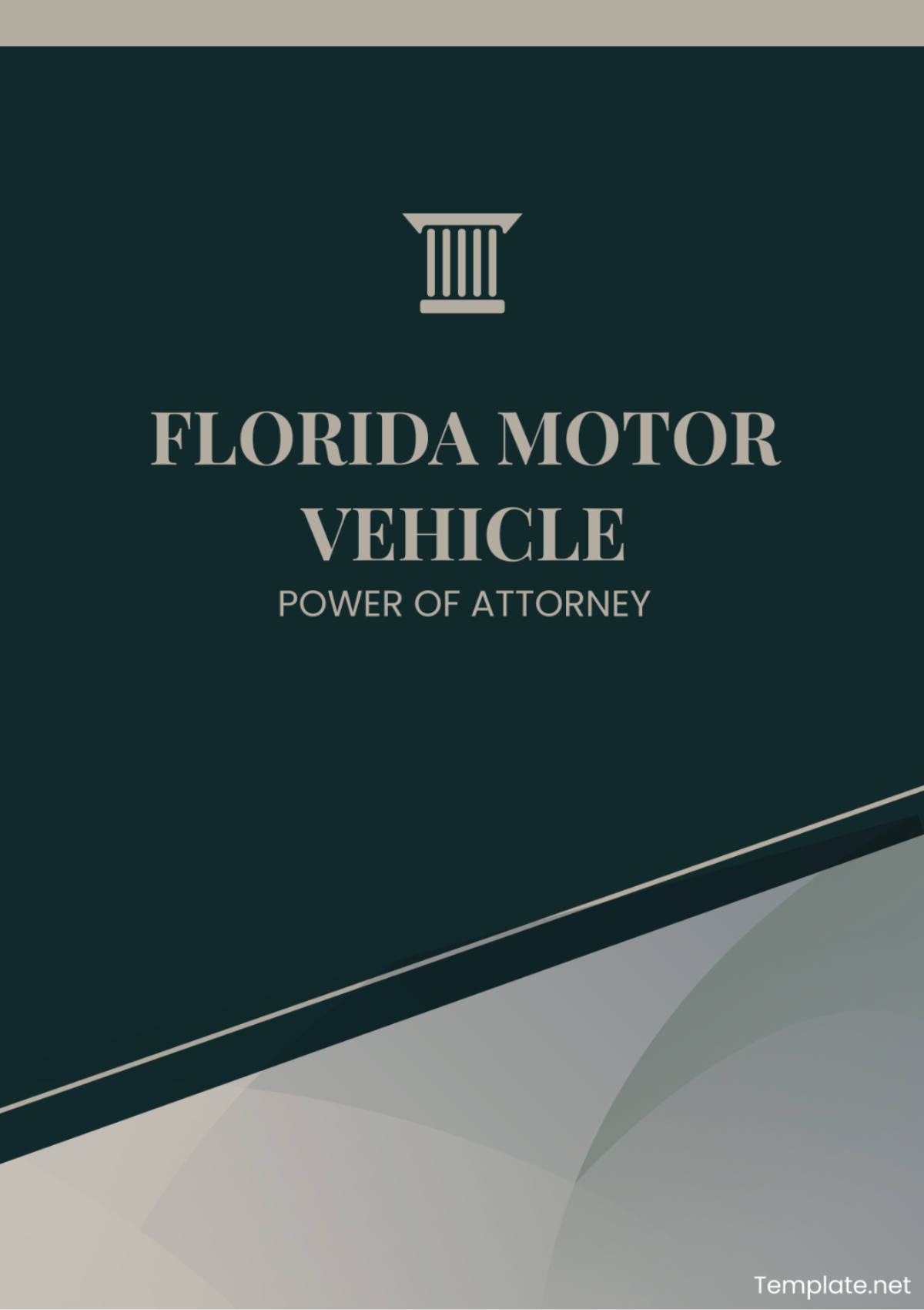 Florida Motor Vehicle Power of Attorney Template