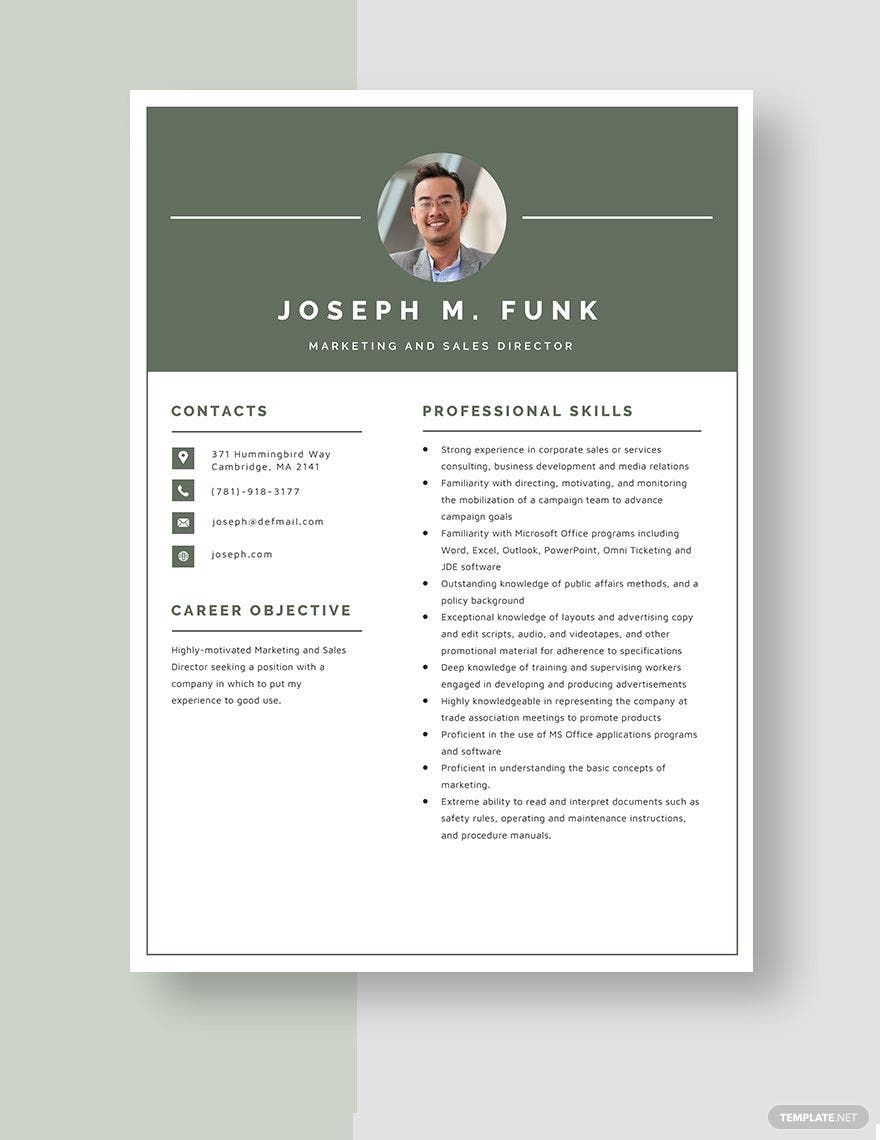 Marketing and Sales Director Resume Template