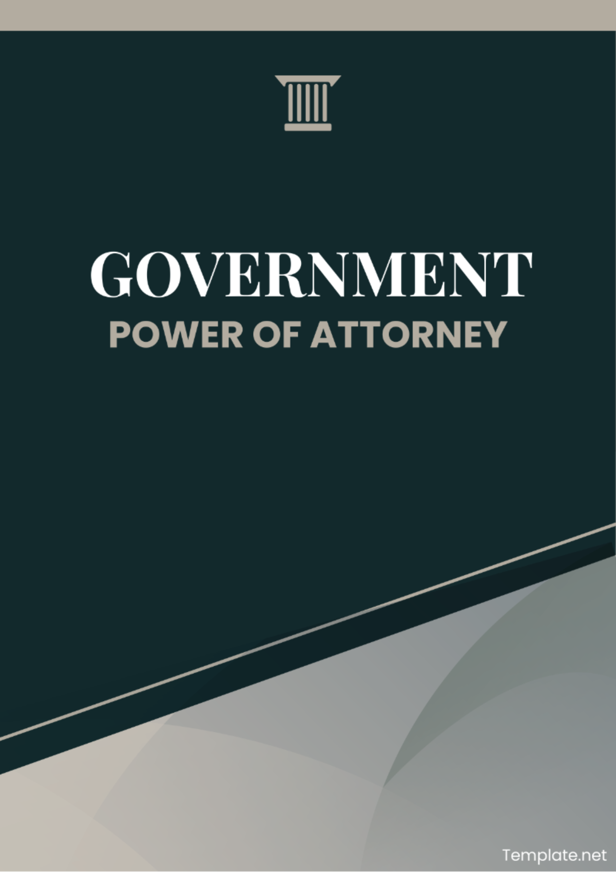 Government Power of Attorney Template