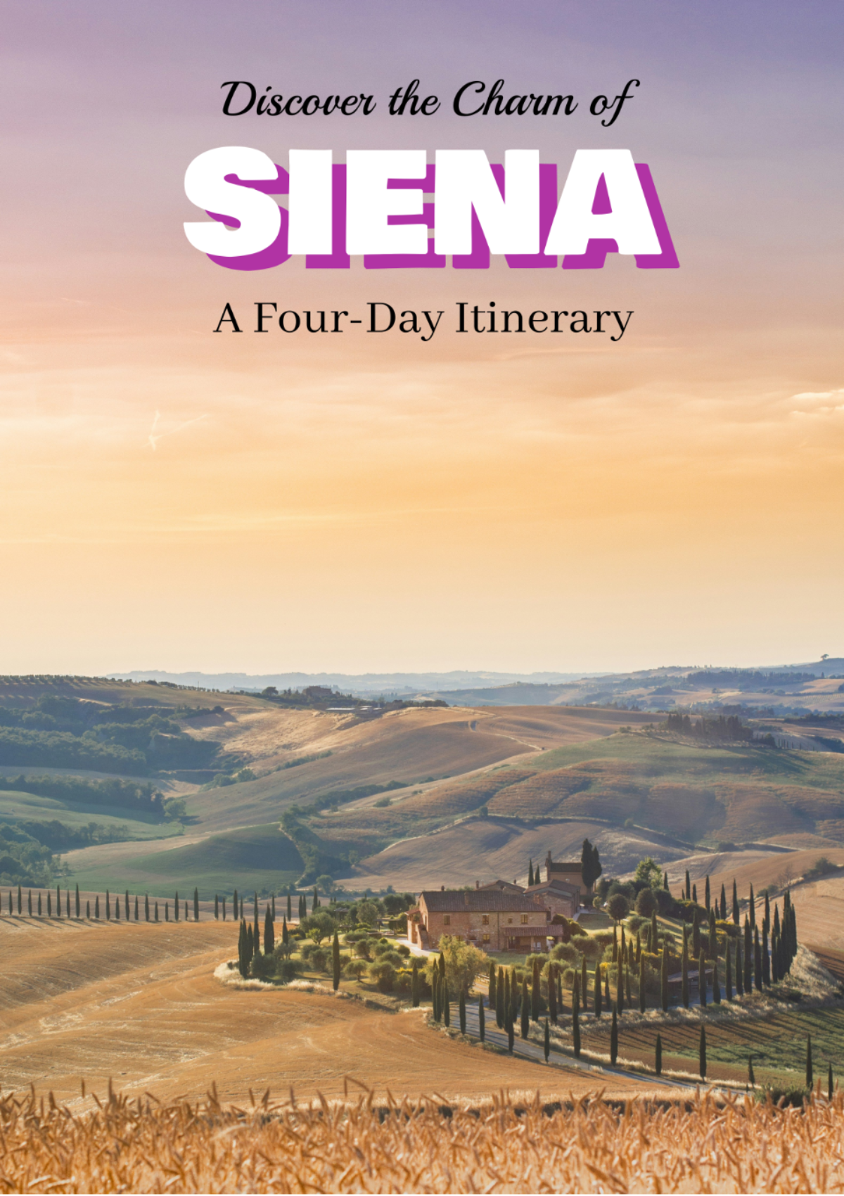 Siena Itinerary Template - Edit Online & Download