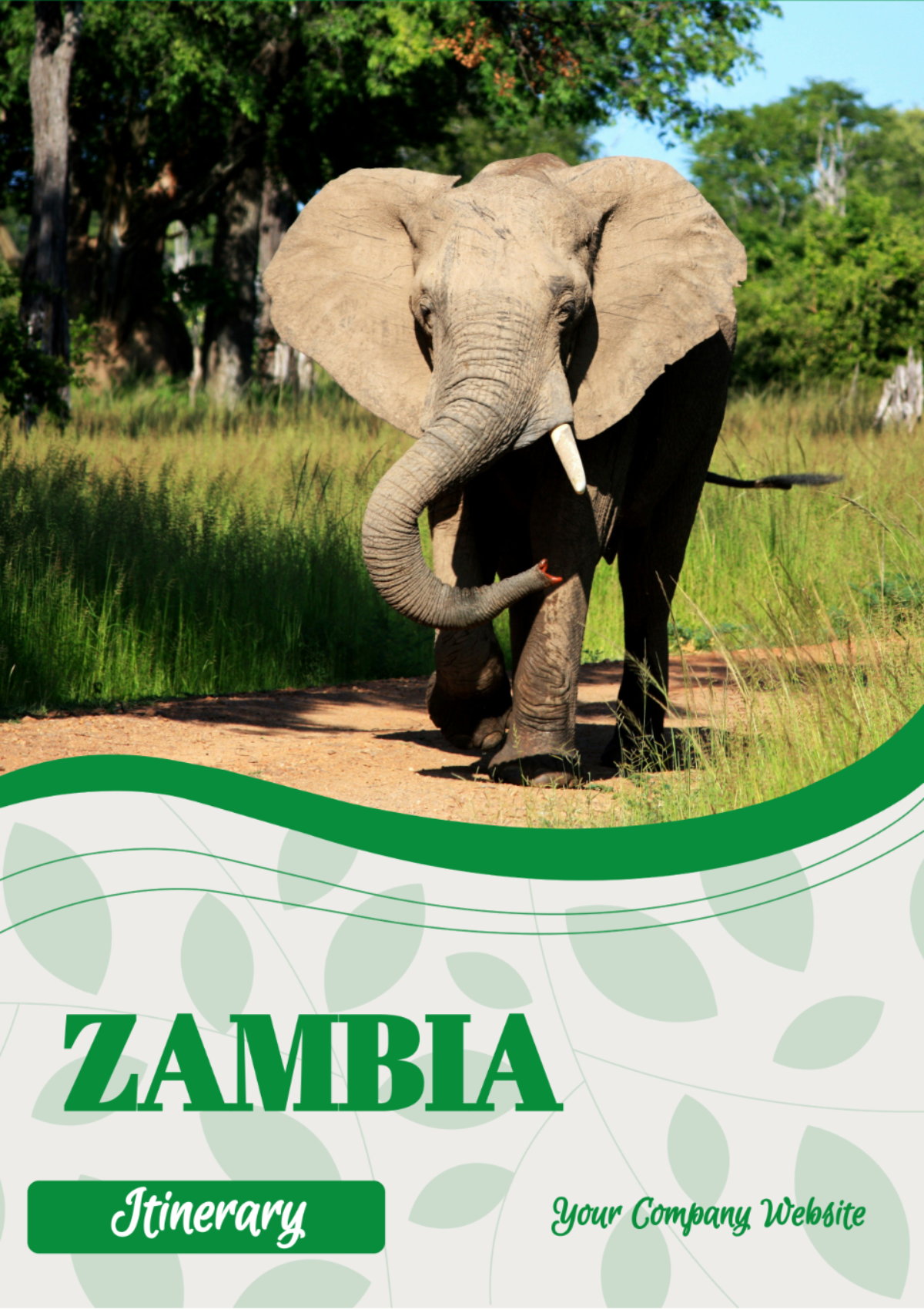 Zambia Itinerary Template