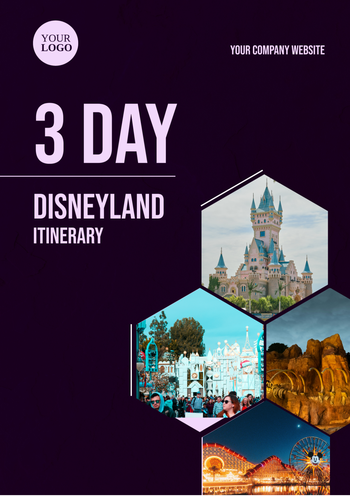3 Day Disneyland Itinerary Template
