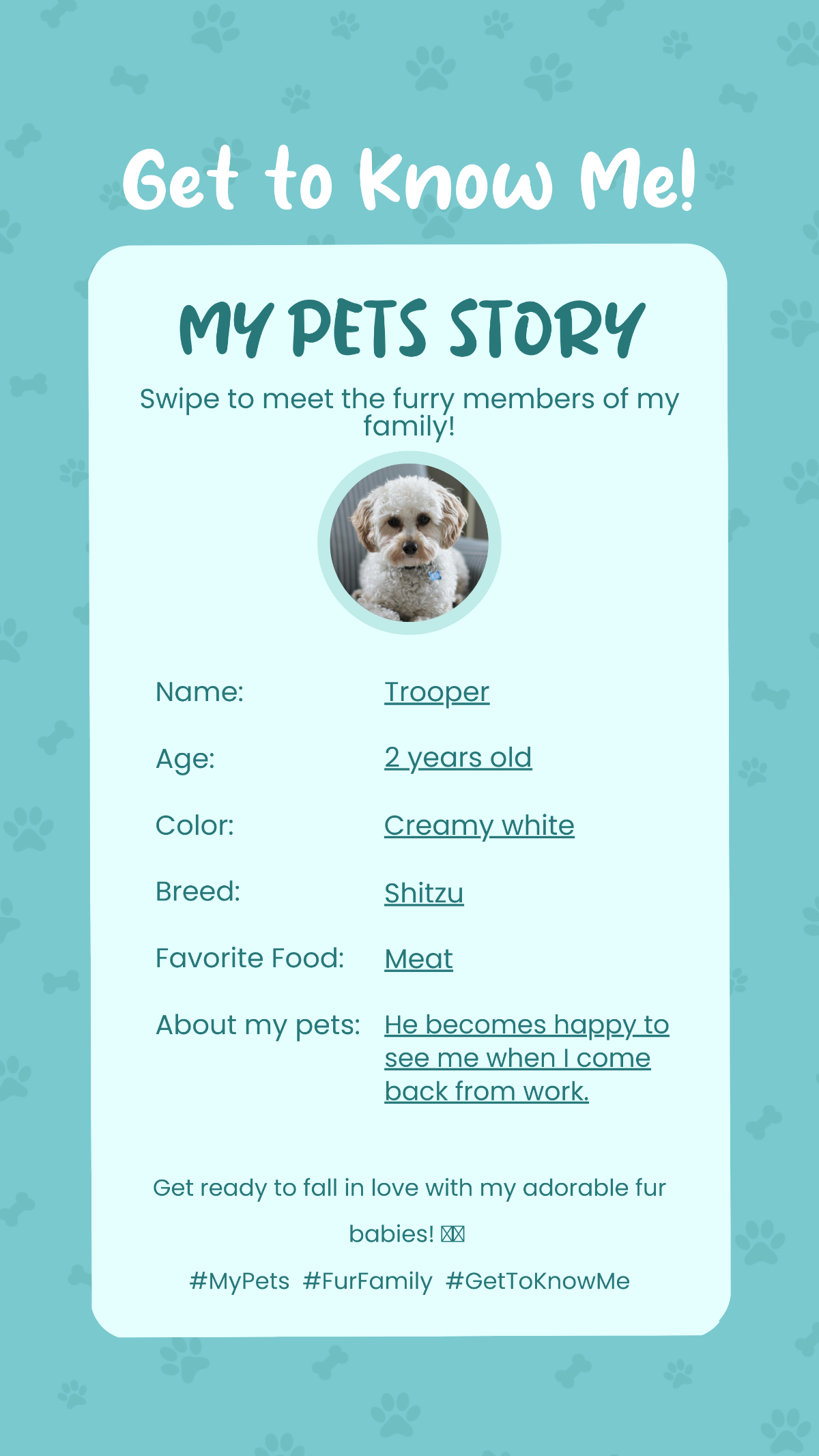Get to Know Me My Pets Story Template