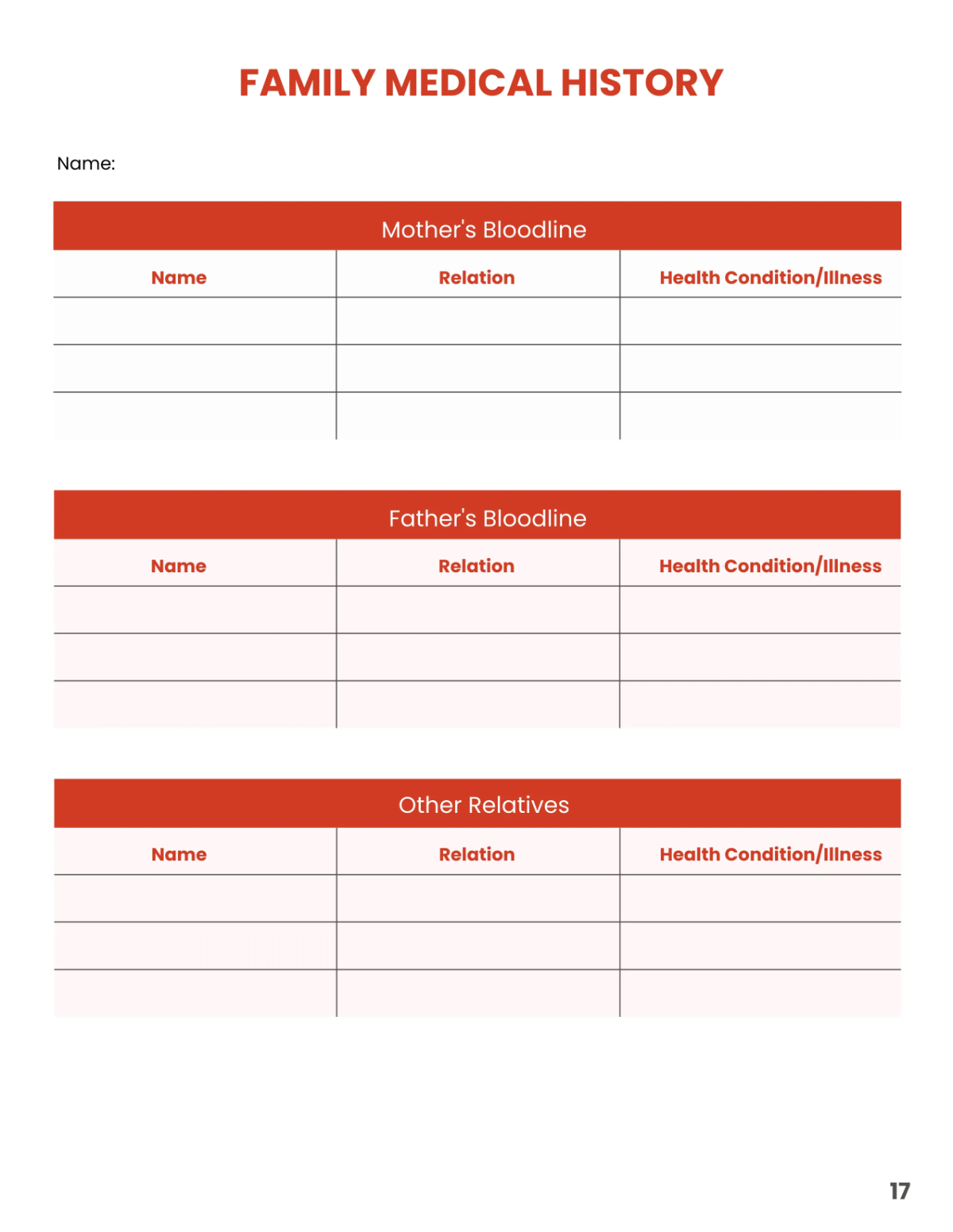 Free Emergency Planner Template to Edit Online