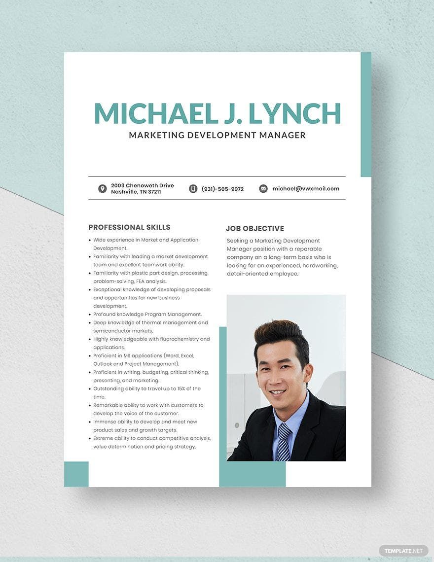 Marketing Development Manager Resume