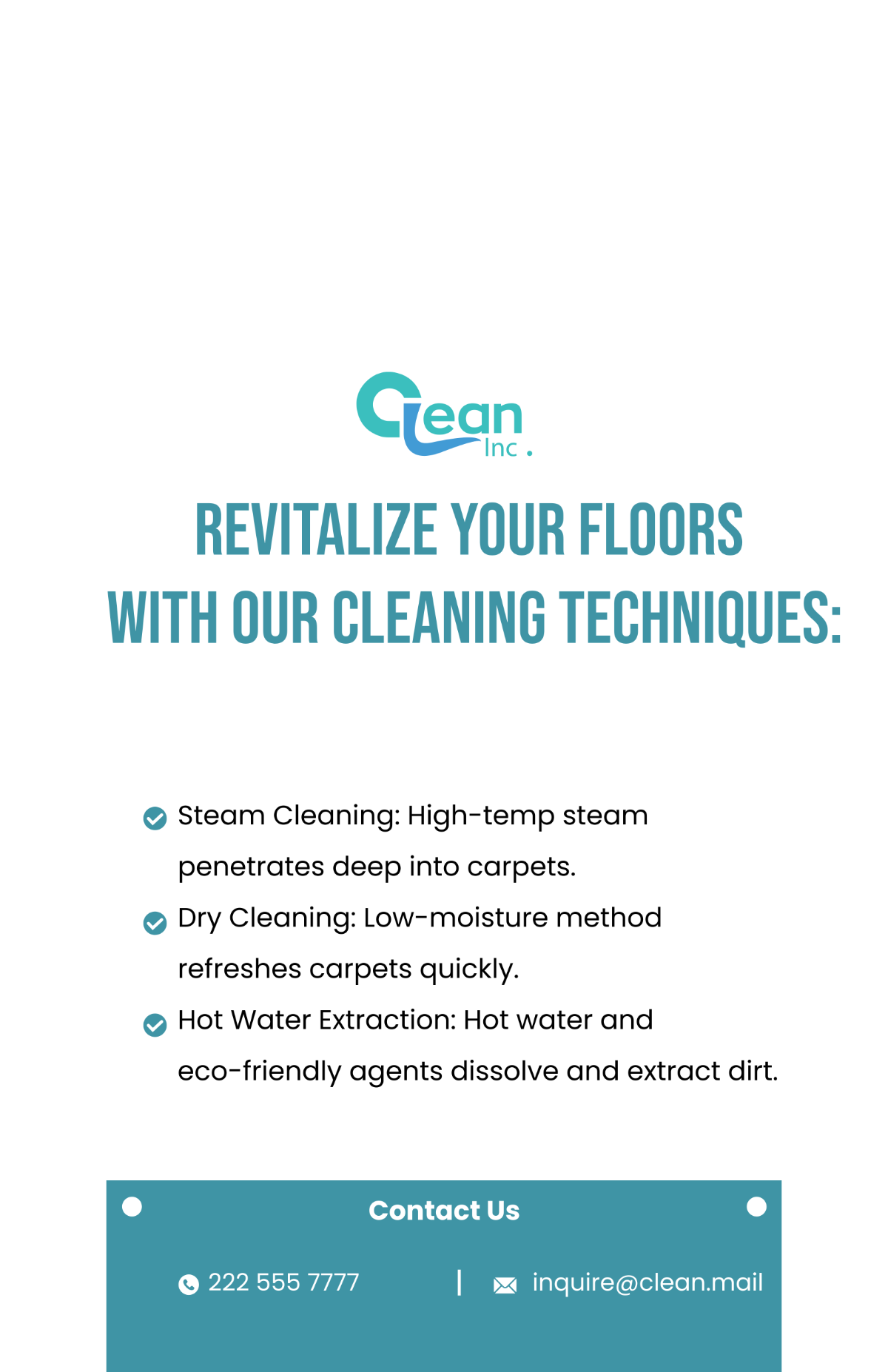 Carpet Deep Cleaning Techniques Poster Template