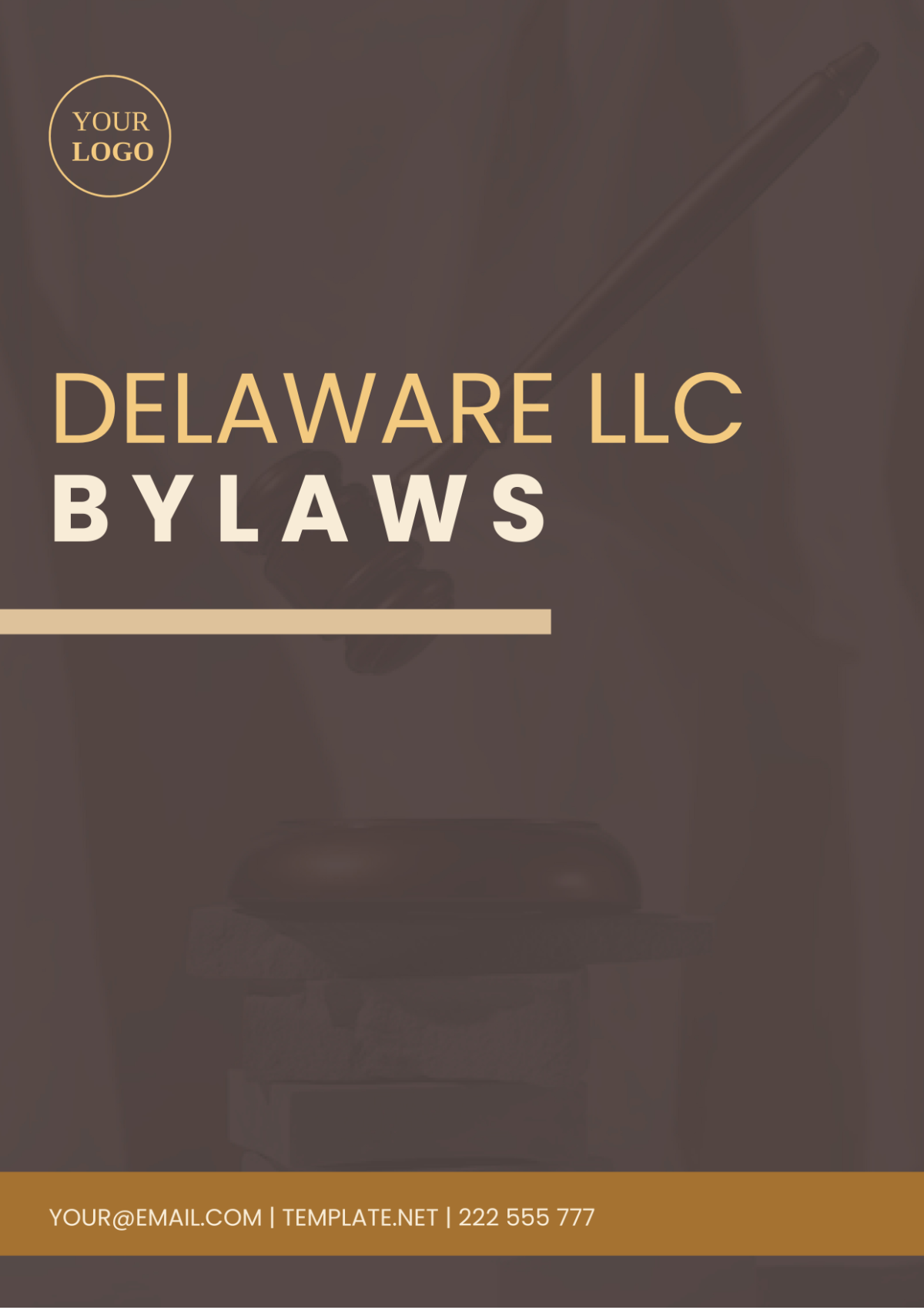 Delaware Llc Bylaws Template