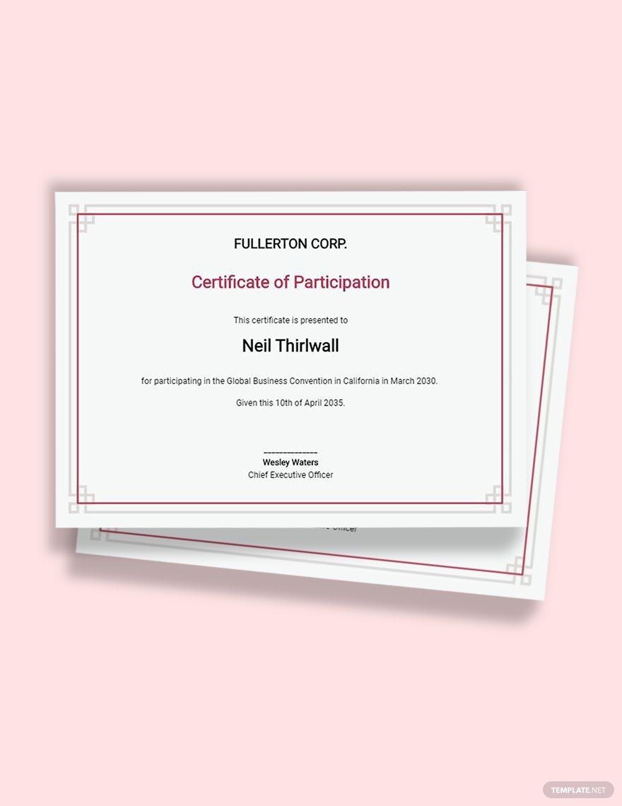 Sample Participation Certificate Template