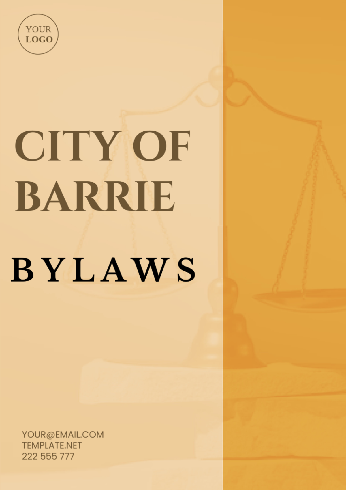 City Of Barrie Bylaws Template