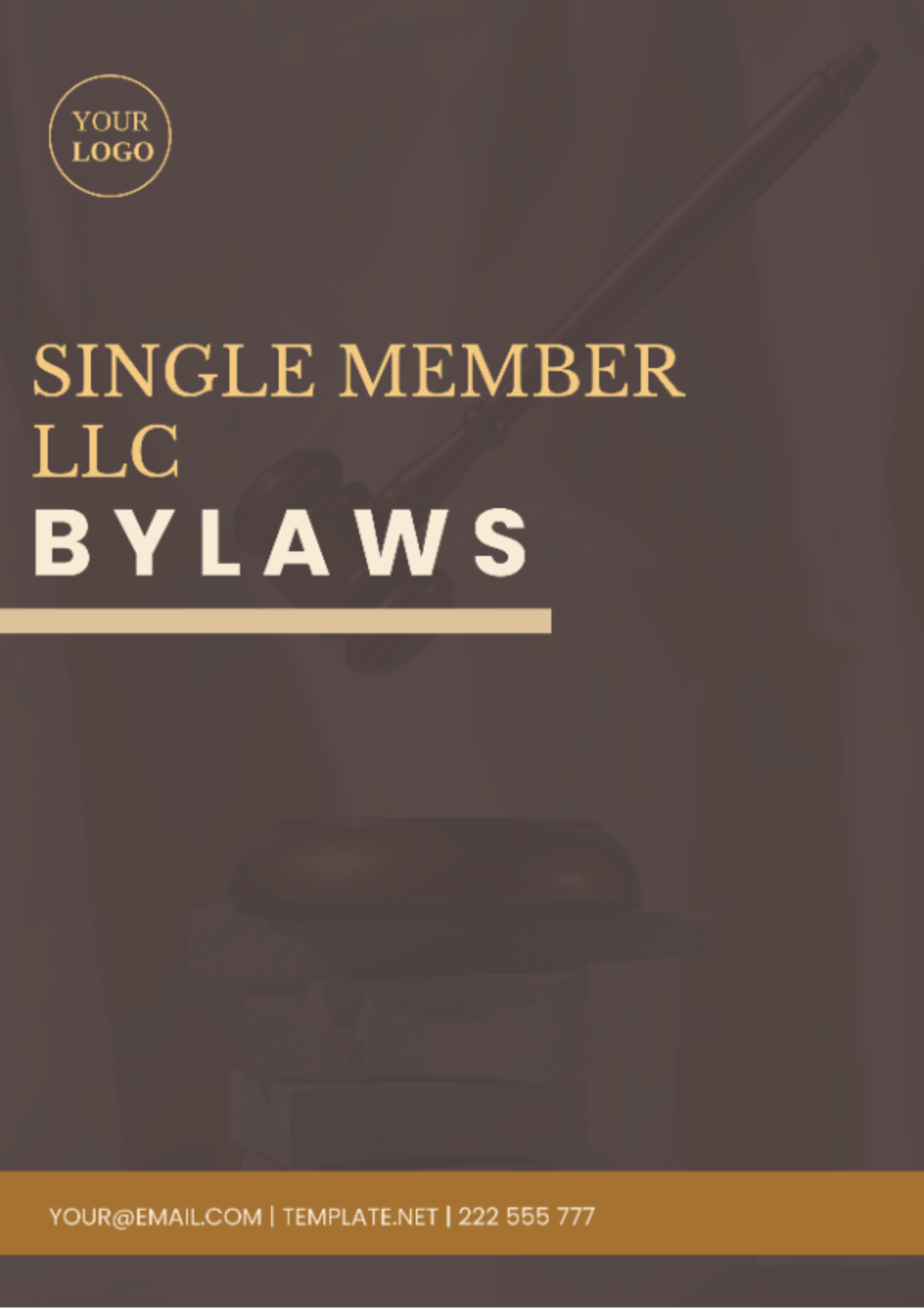 Single Member LLC Bylaws Template
