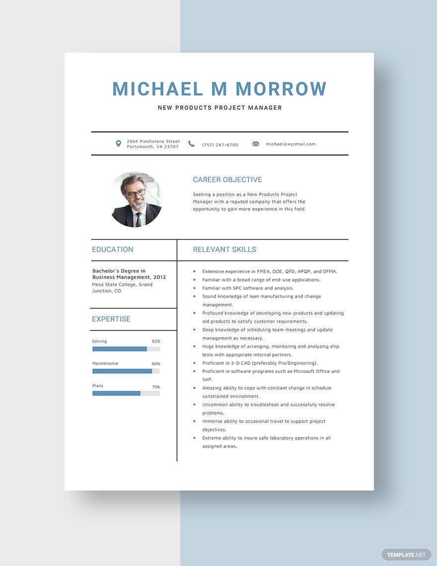New Products Project Manager Resume