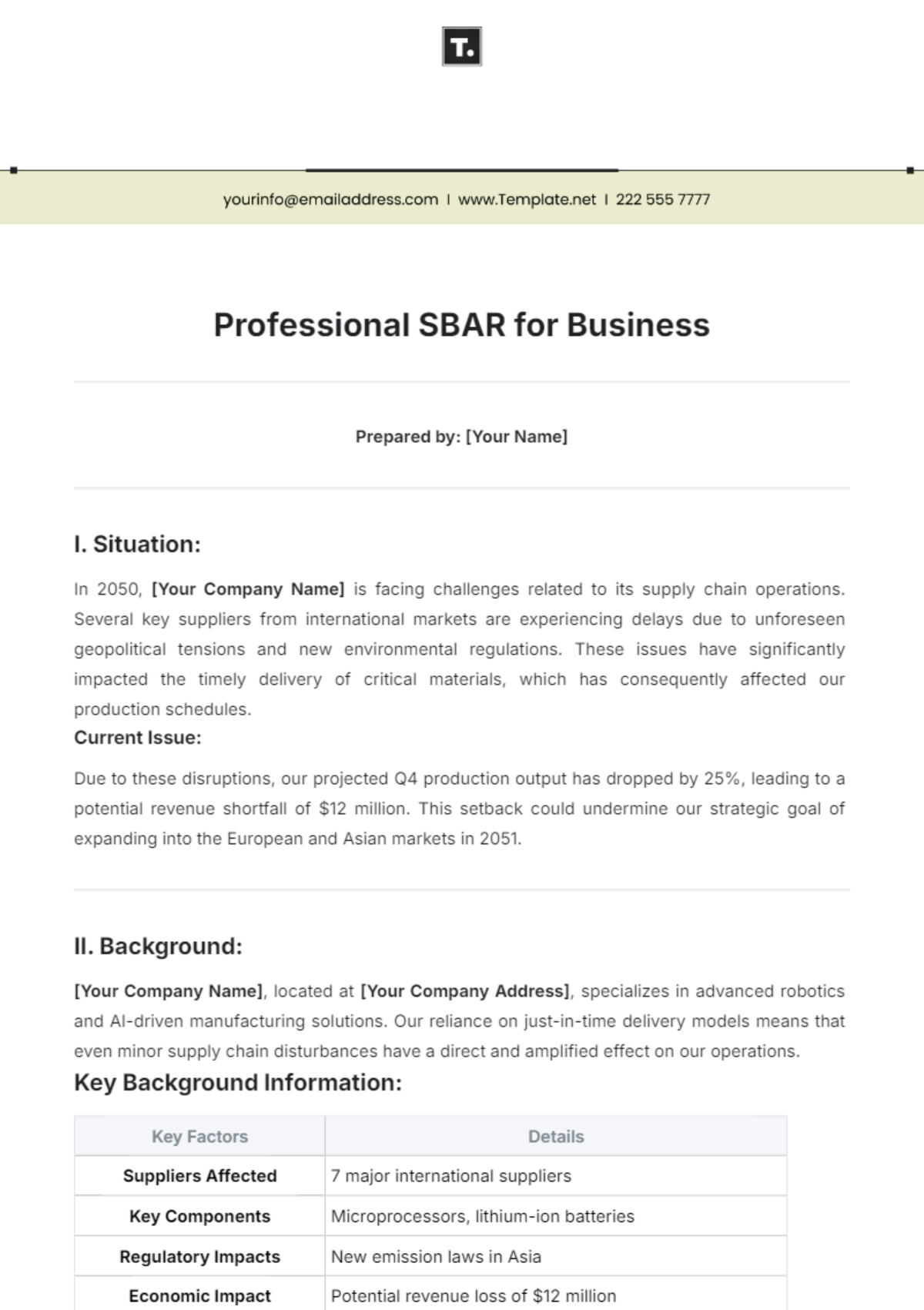 Professional SBAR Template for Business