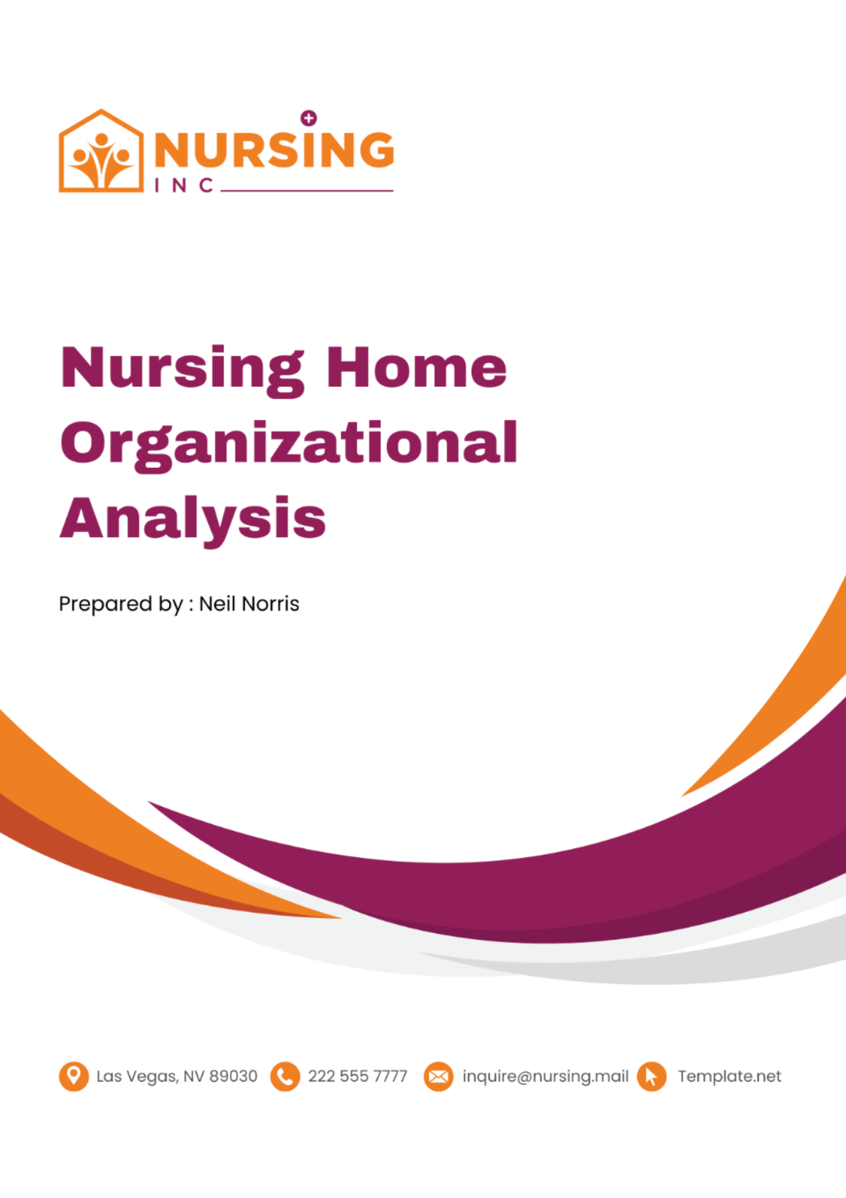 Nursing Home Organizational Analysis Template