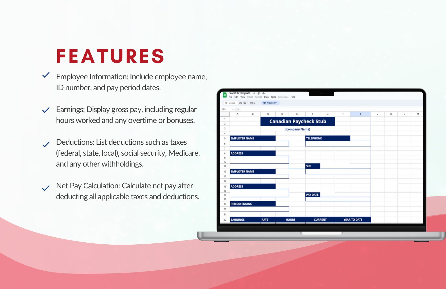 Canadian Check Pay Stub Template