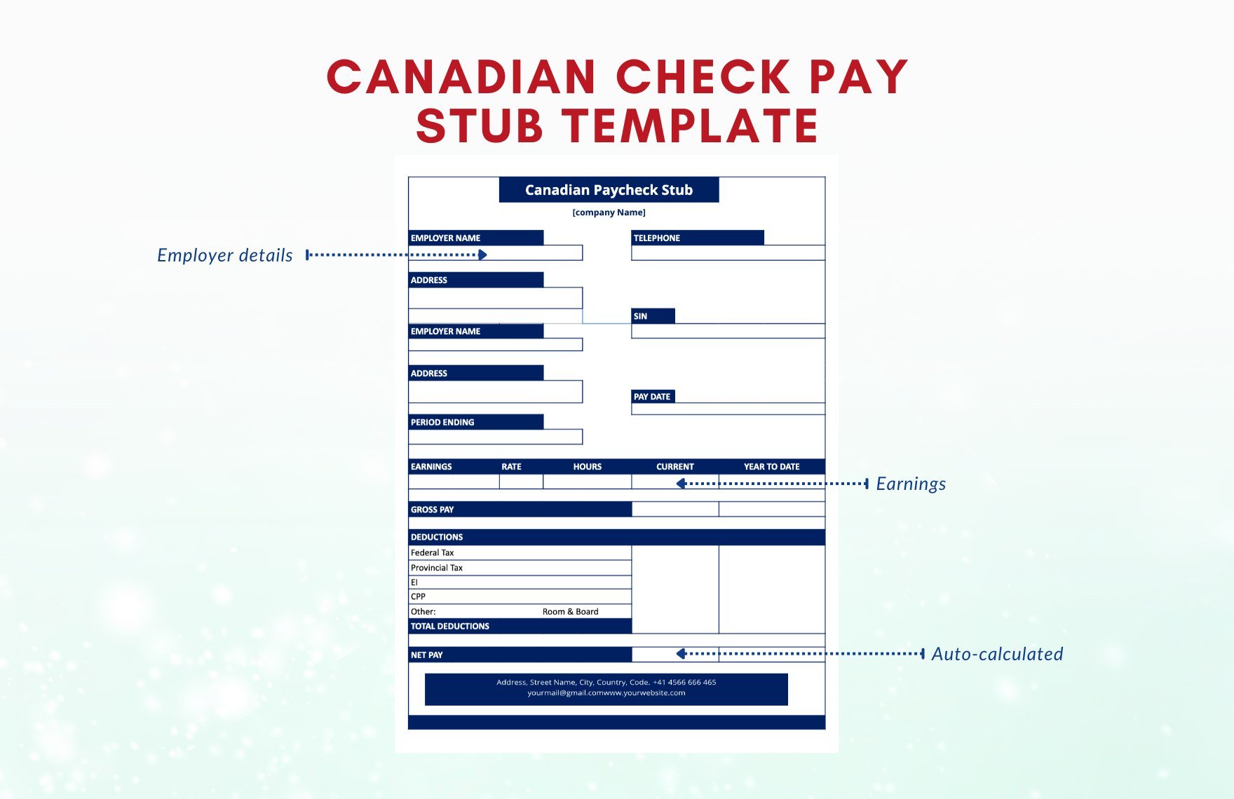 Canadian Check Pay Stub Template