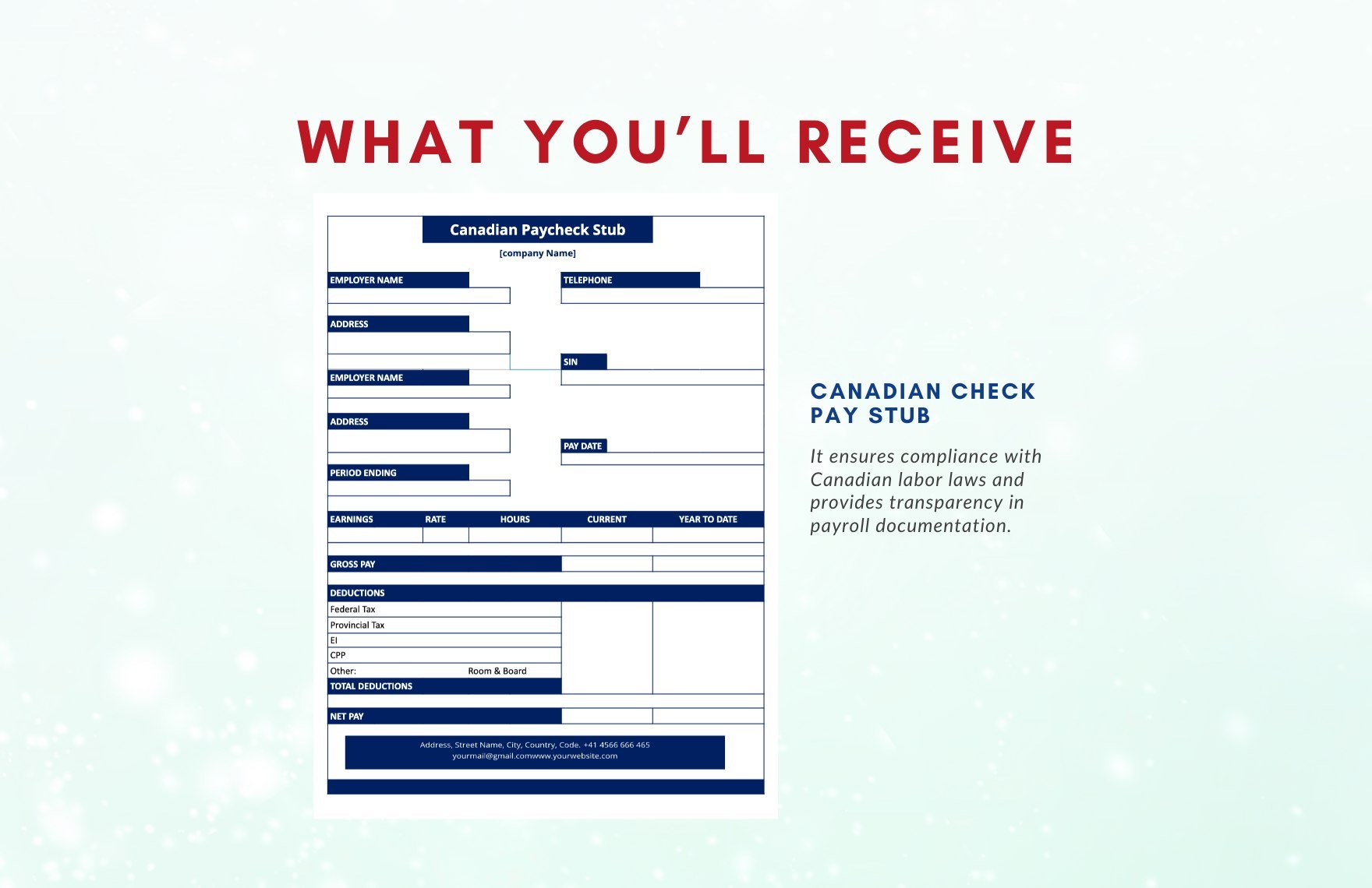 Canadian Check Pay Stub Template