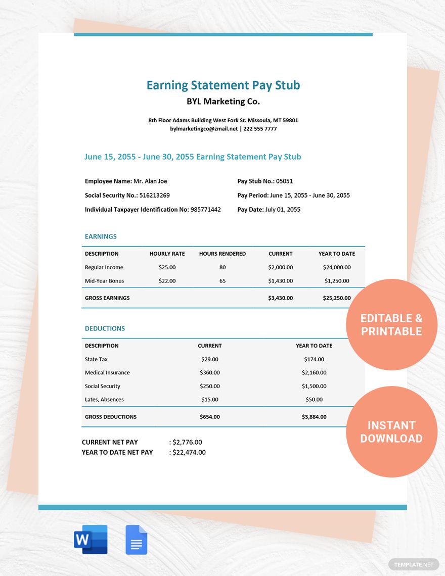 Earning Statement Pay Stub Template